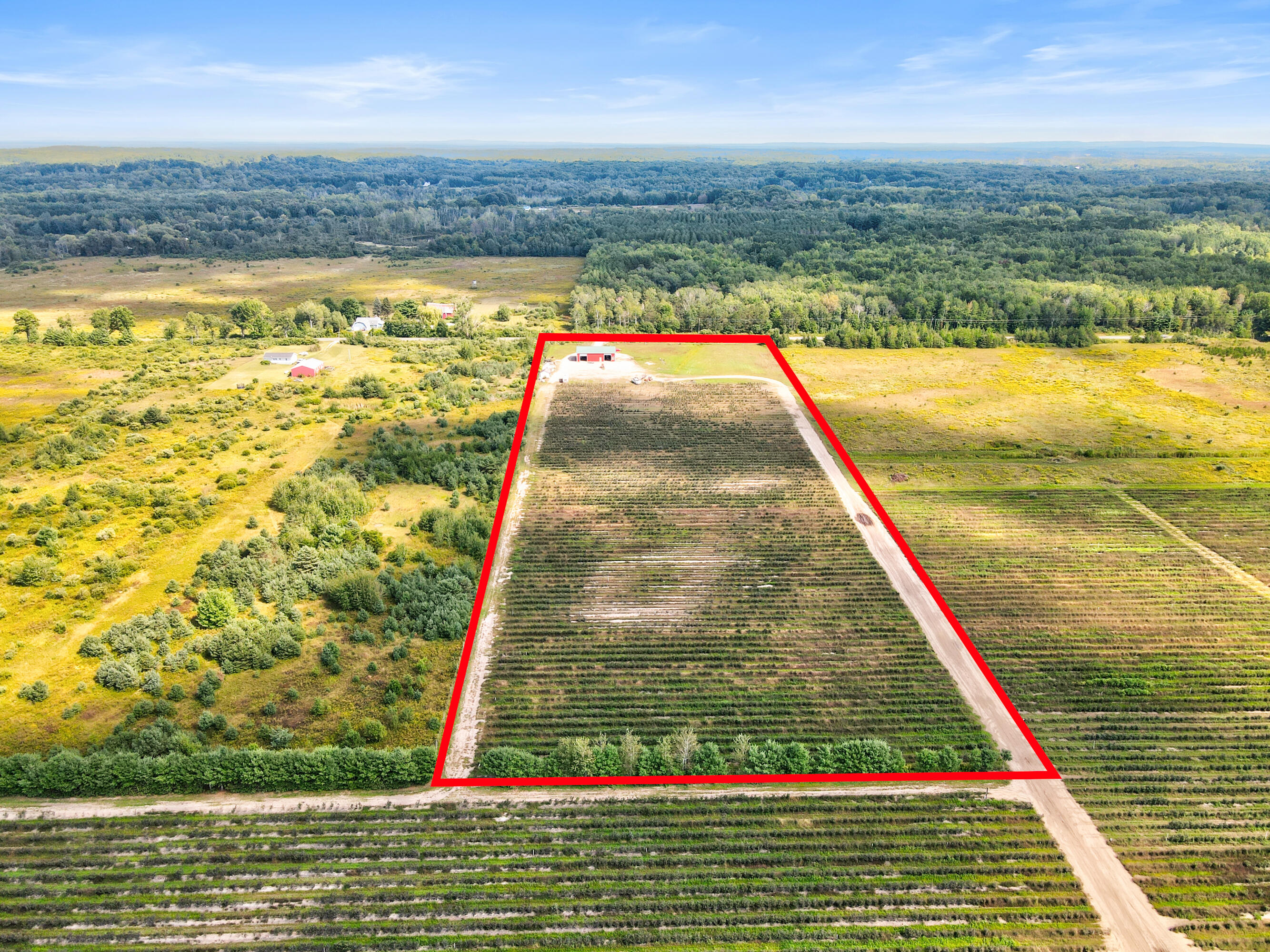 1997 East Townline Road Free Soil, MI 49411 - Photo 37 of 49 Robert Buist - Blue Berry Farm (18)-17