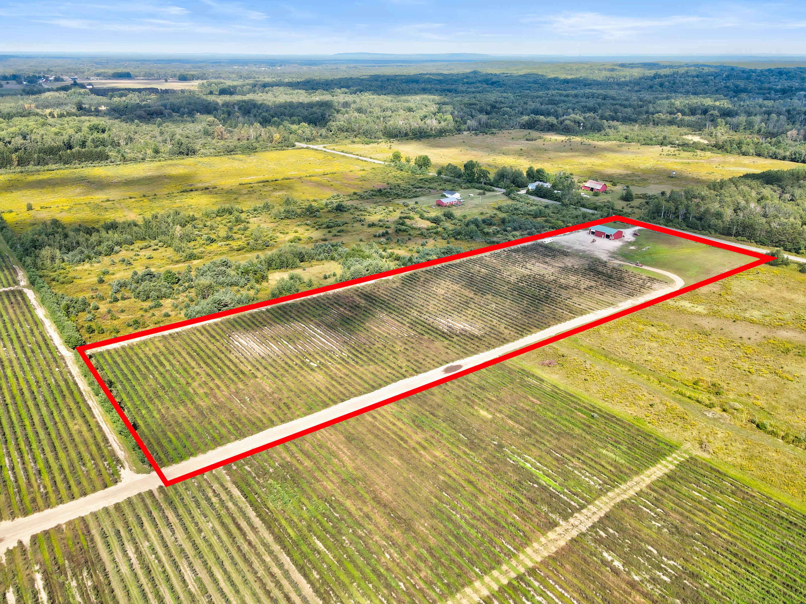 1997 East Townline Road Free Soil, MI 49411 - Photo 39 of 49 Robert Buist - Blue Berry Farm (18)-18