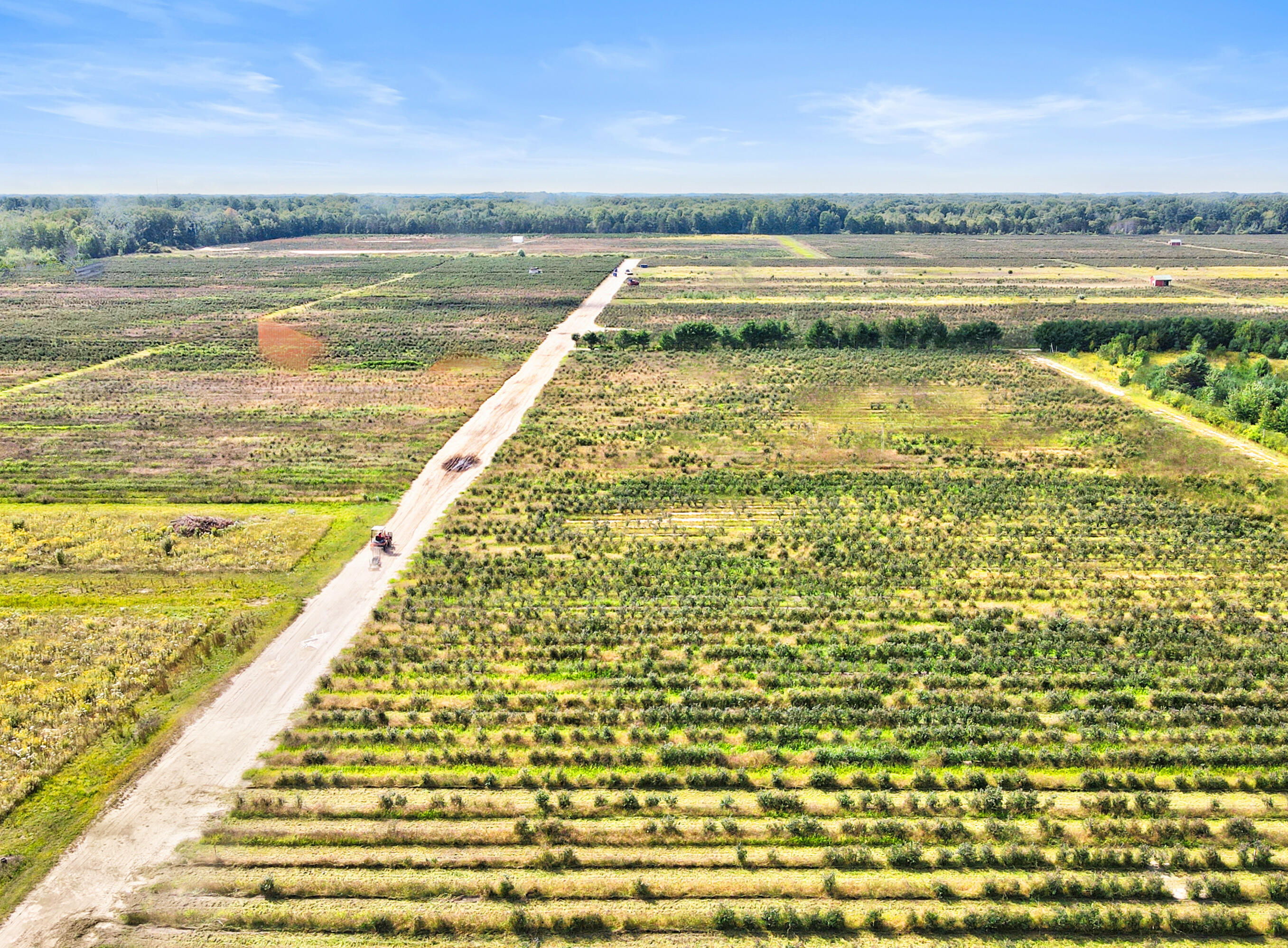 1997 East Townline Road Free Soil, MI 49411 - Photo 40 of 49 Robert Buist - Blue Berry Farm (18)-14