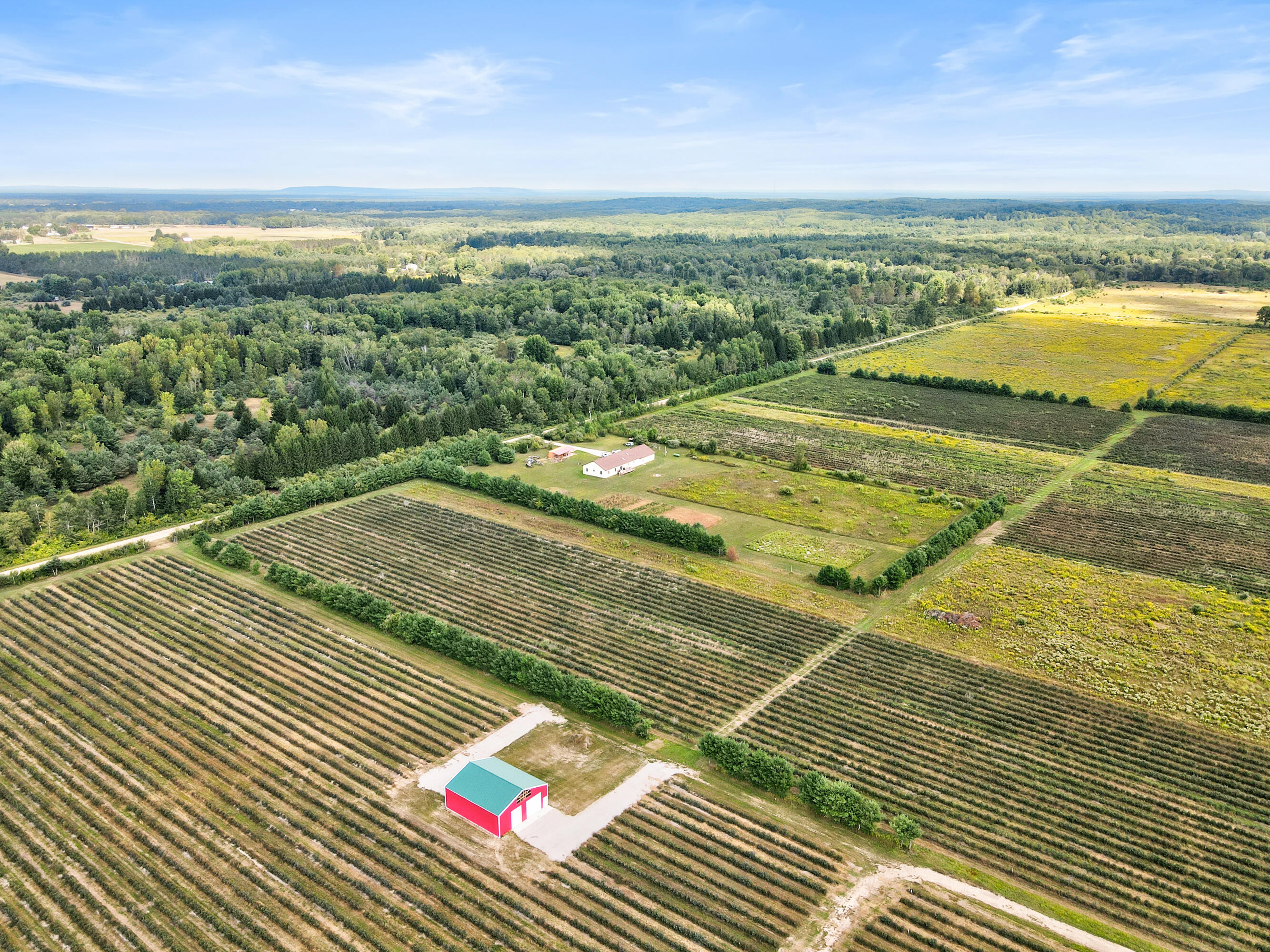 1997 East Townline Road Free Soil, MI 49411 - Photo 43 of 49 Robert Buist - Blue Berry Farm (18)-10