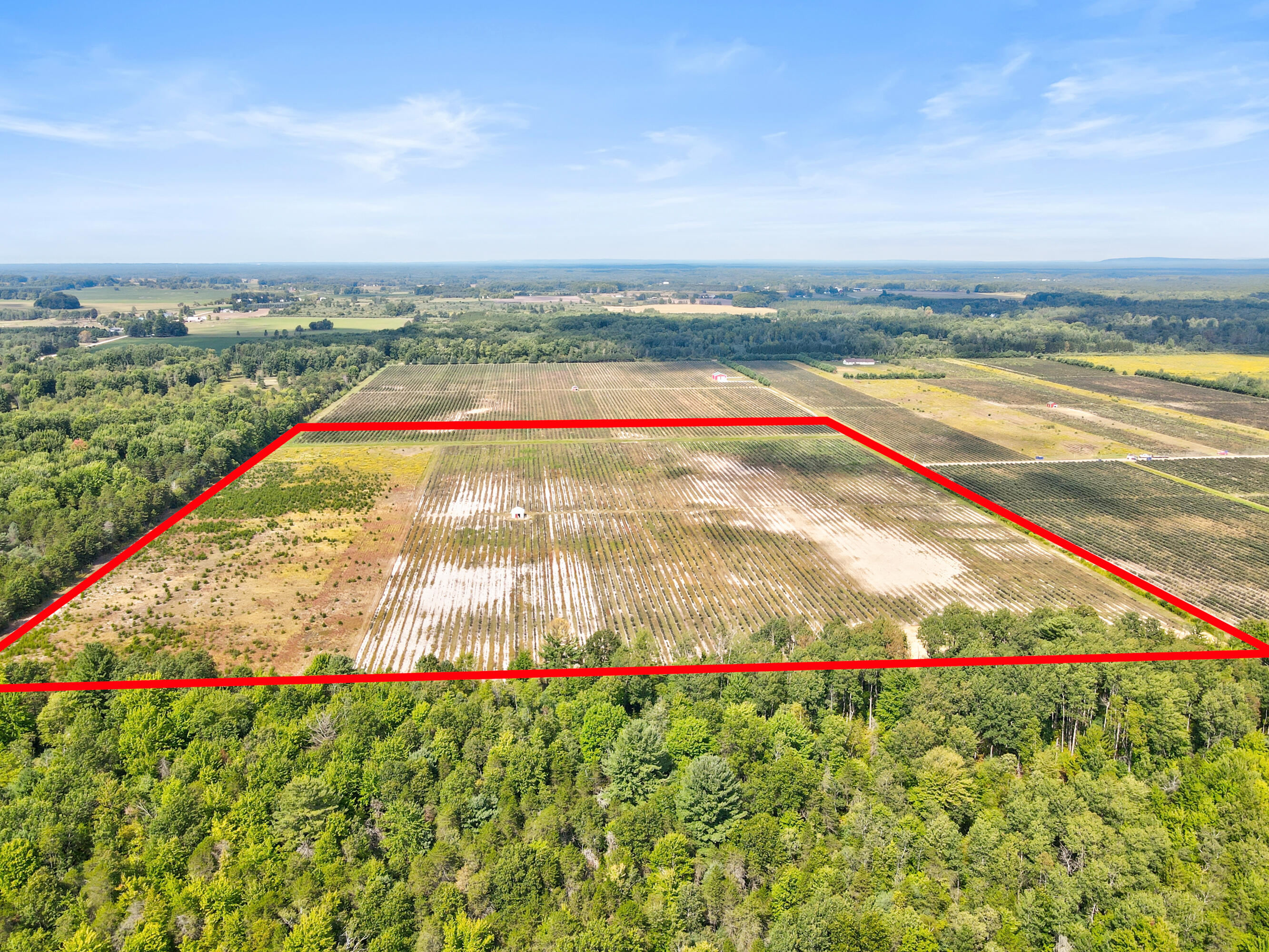 1997 East Townline Road Free Soil, MI 49411 - Photo 46 of 49 Robert Buist - Blue Berry Farm (18)-8