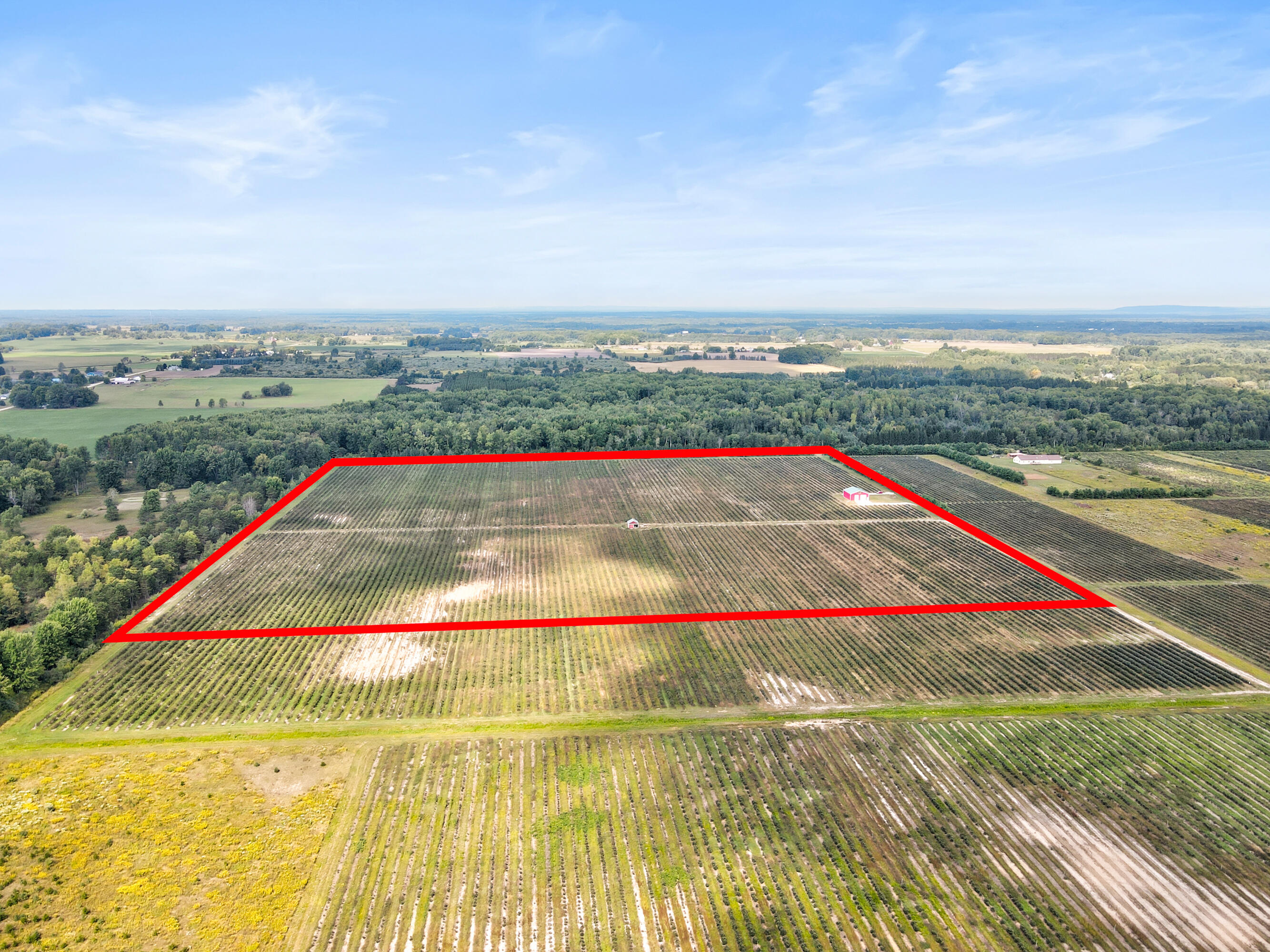 1997 East Townline Road Free Soil, MI 49411 - Photo 47 of 49 Robert Buist - Blue Berry Farm (18)-7