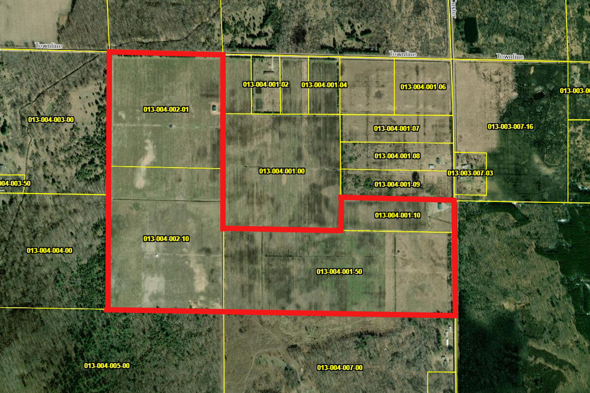 1997 East Townline Road Free Soil, MI 49411 - Photo 5 of 49 Robert Buist - Blue Berry Farm (18)-19
