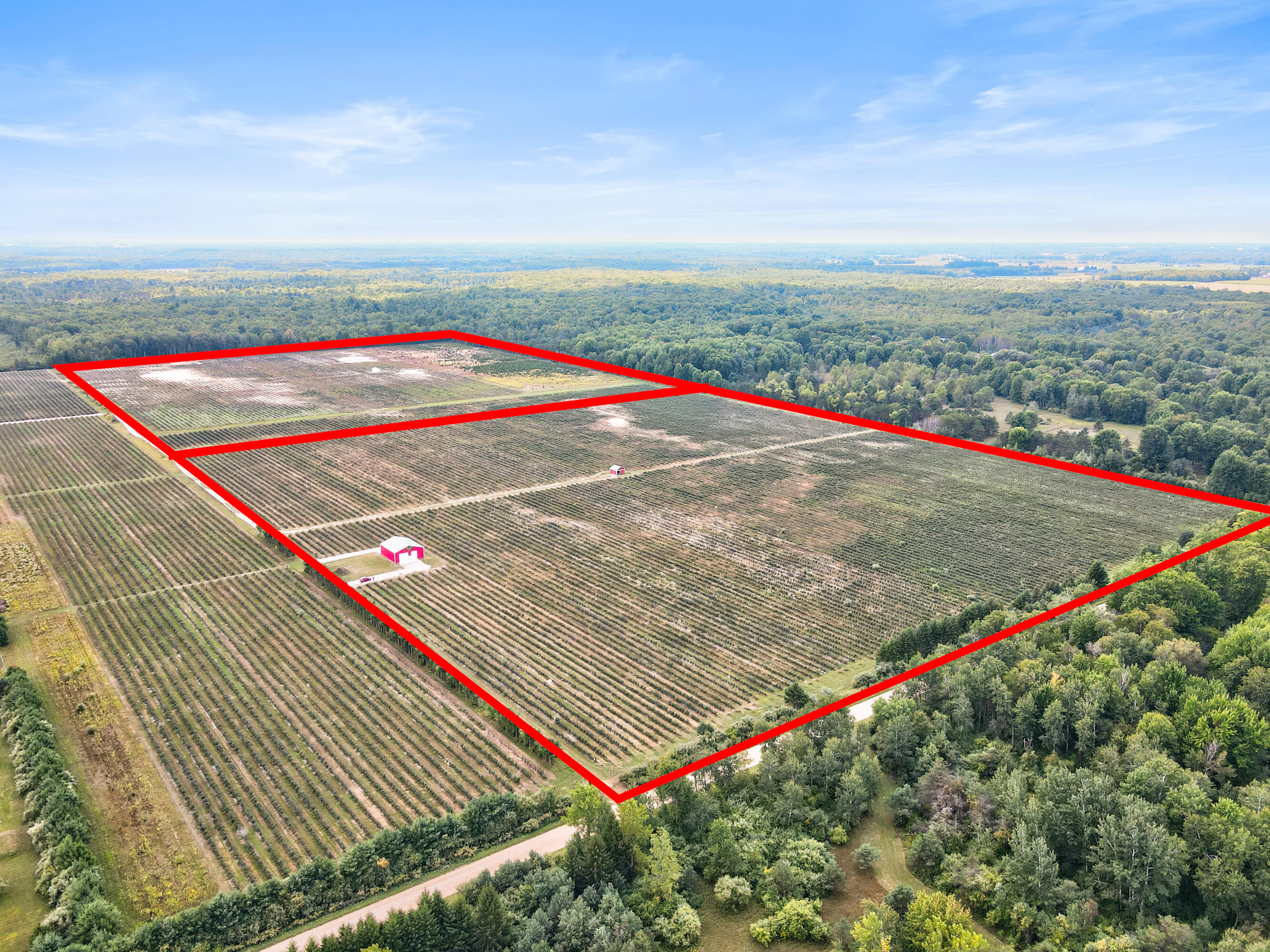 1997 East Townline Road Free Soil, MI 49411 - Photo 6 of 49 Robert Buist - Blue Berry Farm (18)-5