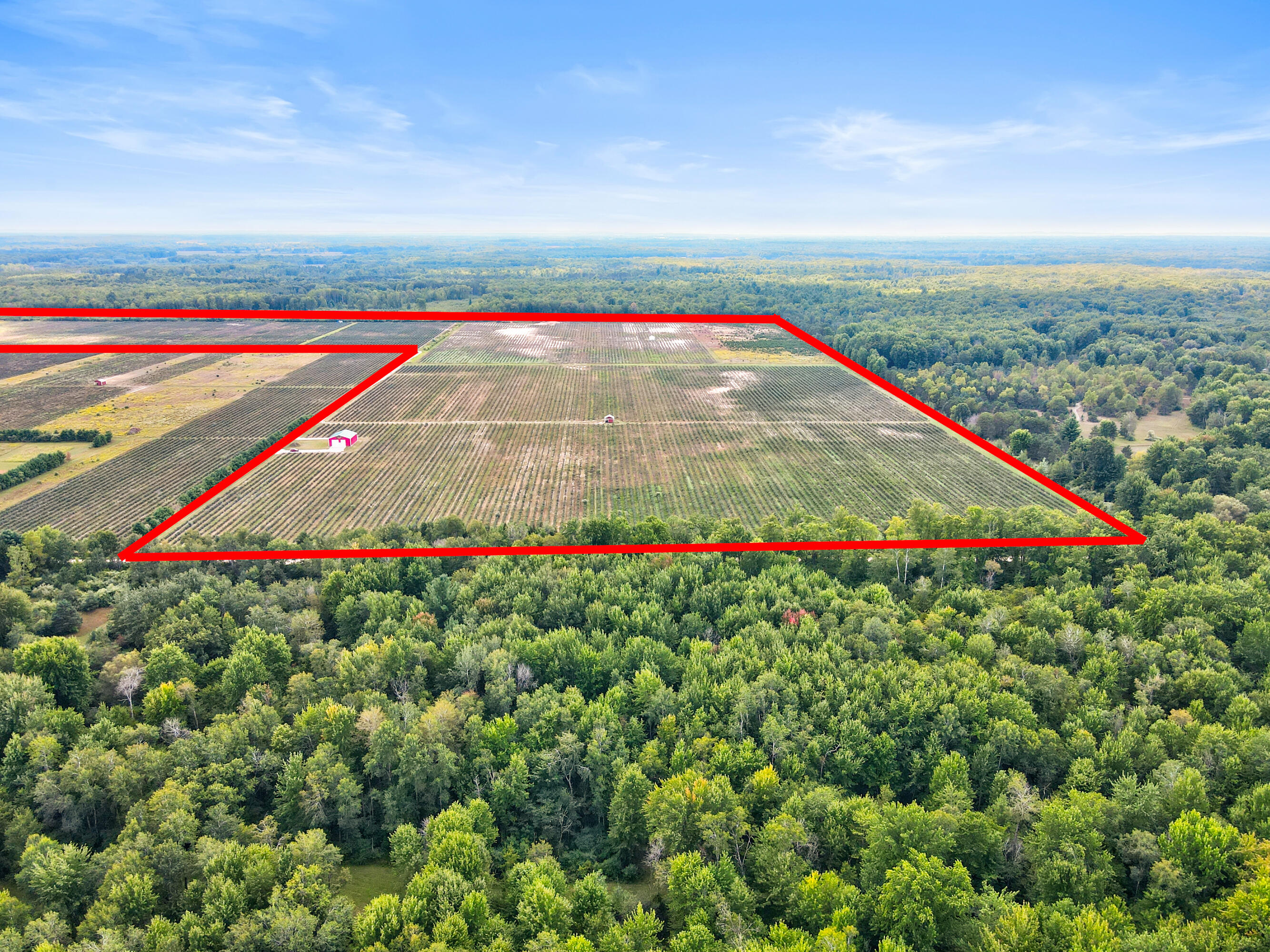 1997 East Townline Road Free Soil, MI 49411 - Photo 10 of 49 Robert Buist - Blue Berry Farm (18)-6