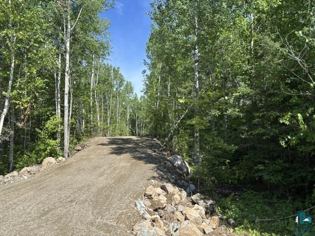 Tbd Tbd Powerhouse Trail Ely, MN 55731 - Photo 7 of 16
