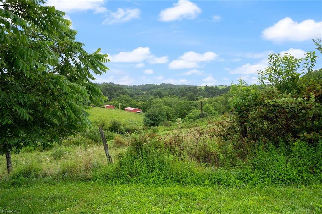 6312 Riner Road Riner, VA 24149 - Photo 50 of 50