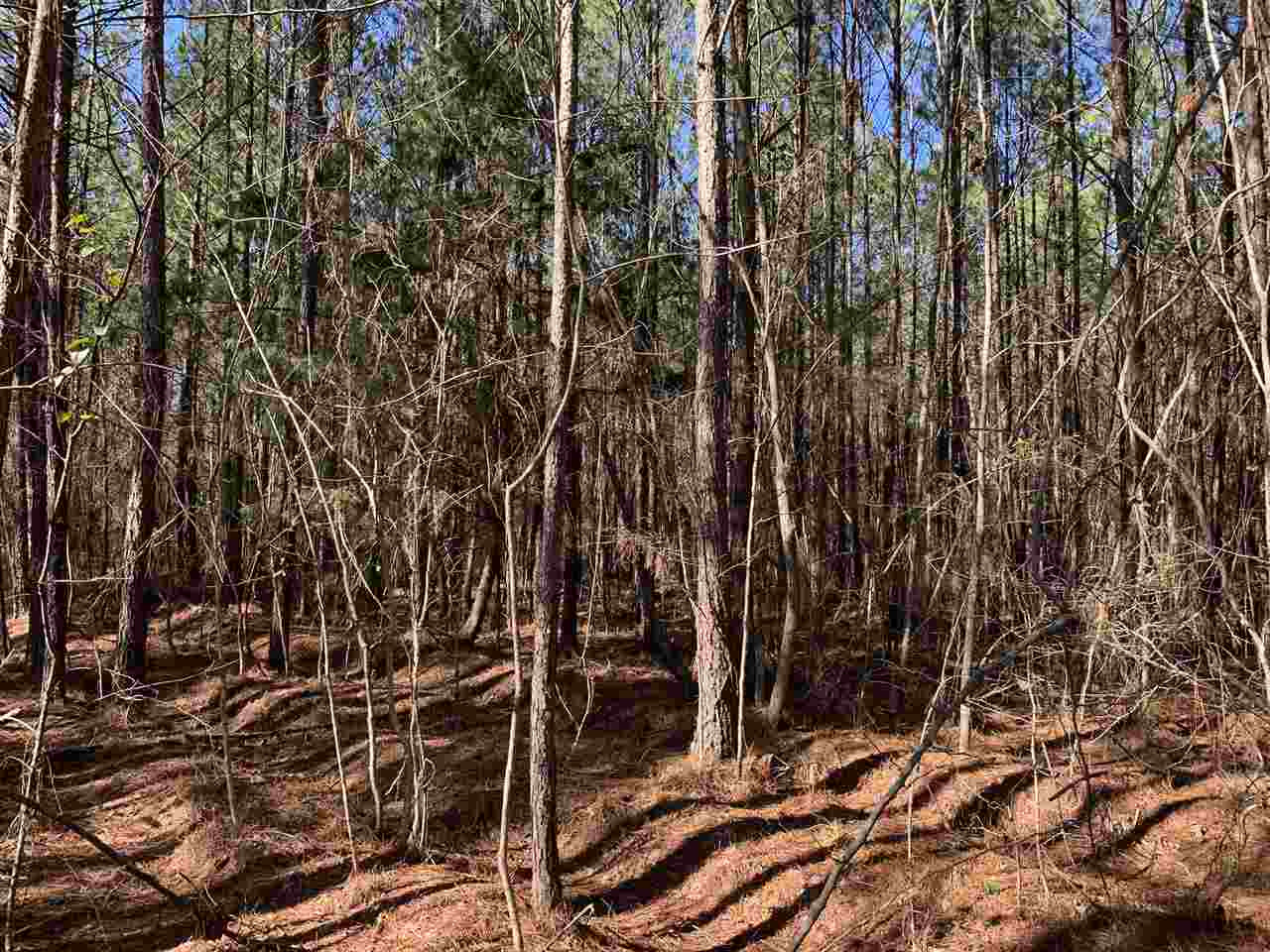 0 Sun Tower Road Lake, MS 39092 - Photo 3 of 13 Photo 4