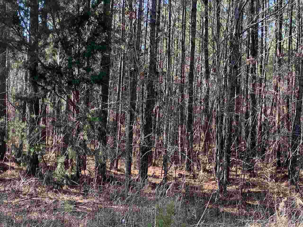 0 Sun Tower Road Lake, MS 39092 - Photo 8 of 13 Photo 9