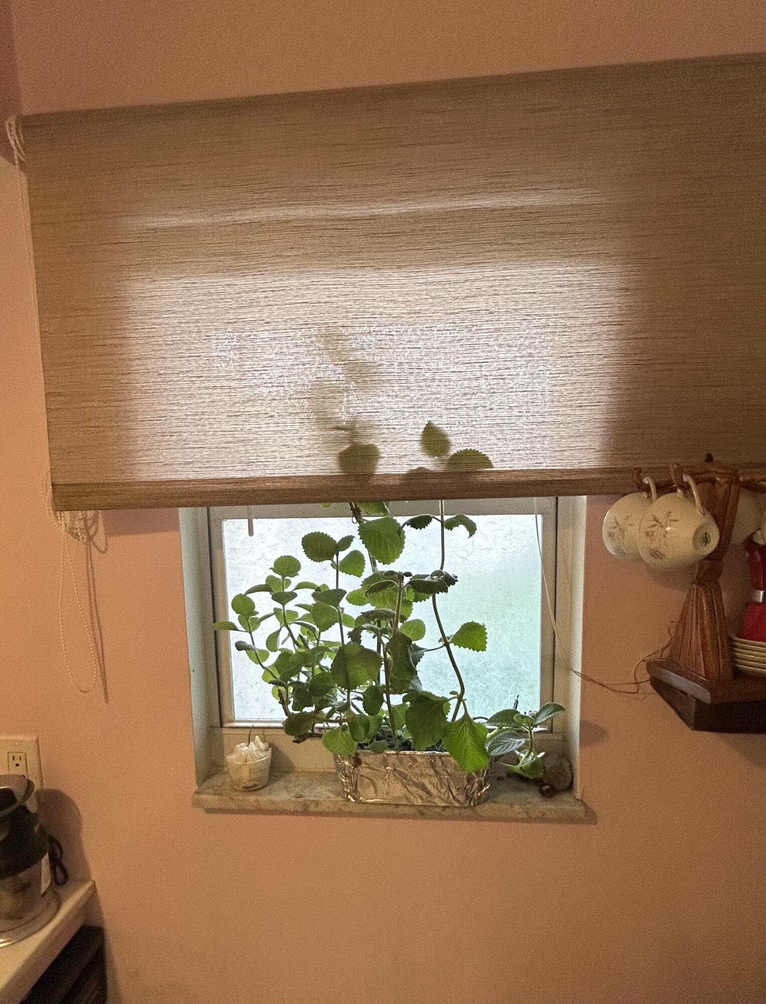 506 Davis Road, Unit 66 Palm Springs, FL 33461 - Photo 17 of 26 a picture of a room with a window