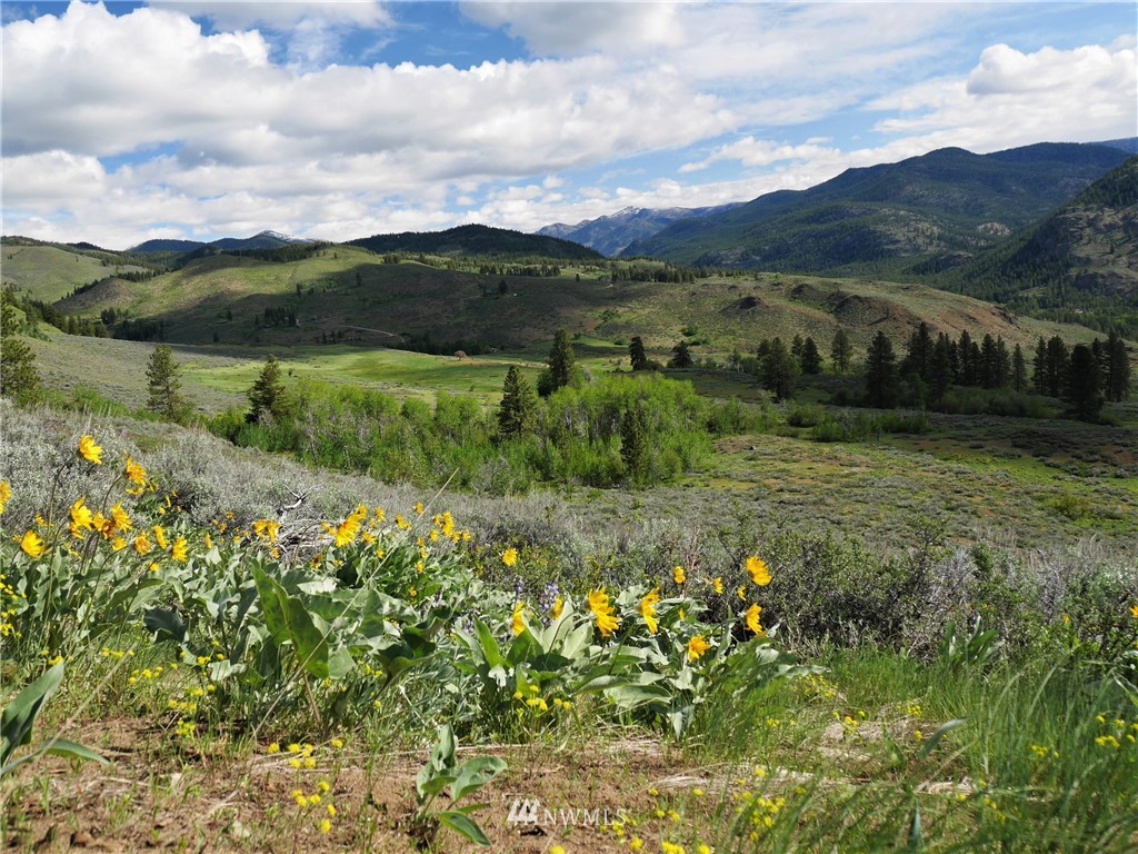 125 Raven Ridge Road Winthrop, WA 98862 - Photo 14 of 40 Gallery Image 14