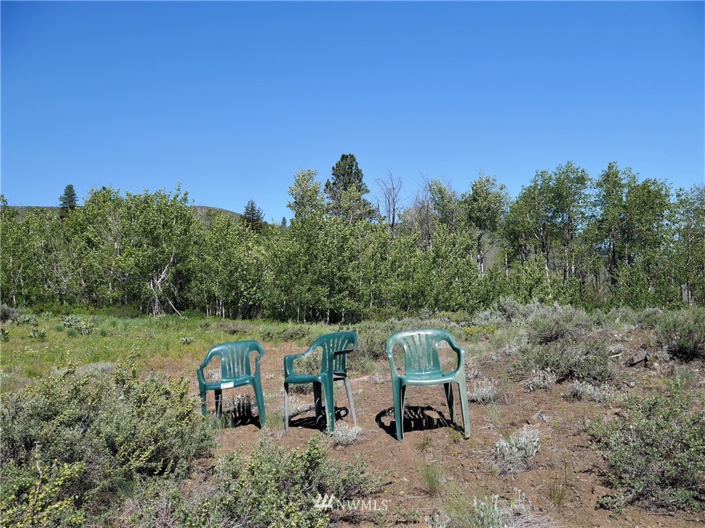 125 Raven Ridge Road Winthrop, WA 98862 - Photo 4 of 40 Gallery Image 4