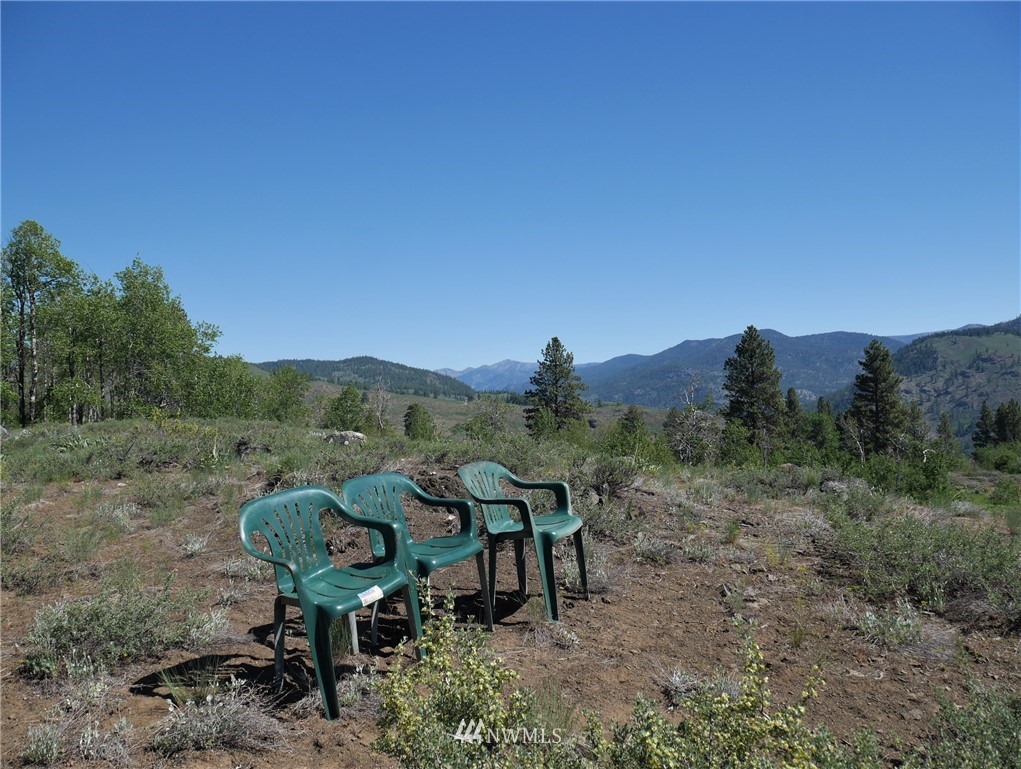 125 Raven Ridge Road Winthrop, WA 98862 - Photo 5 of 40 Gallery Image 5