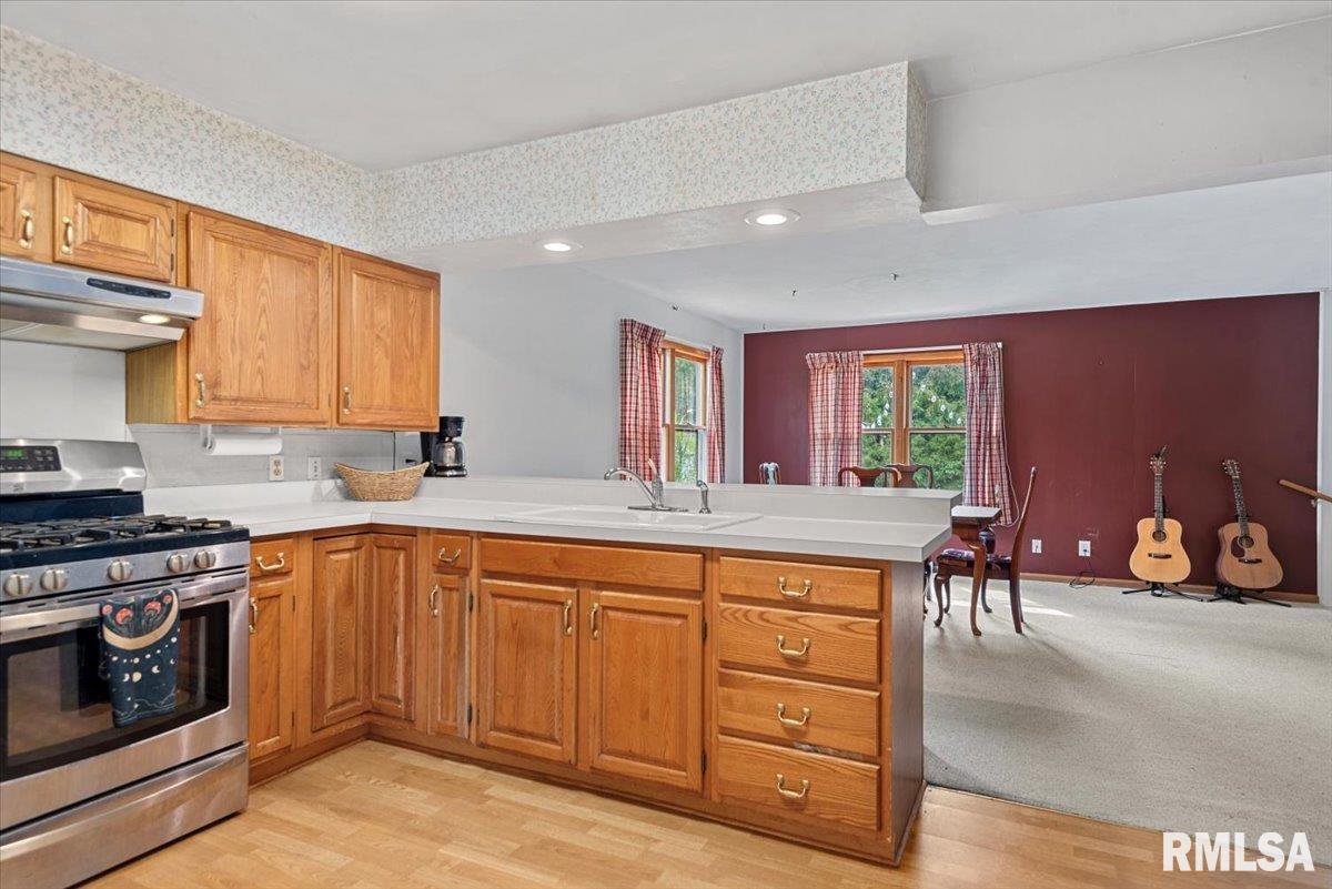 25 Rigg Drive Lincoln, IL 62656 - Photo 8 of 27 Gallery Image 8