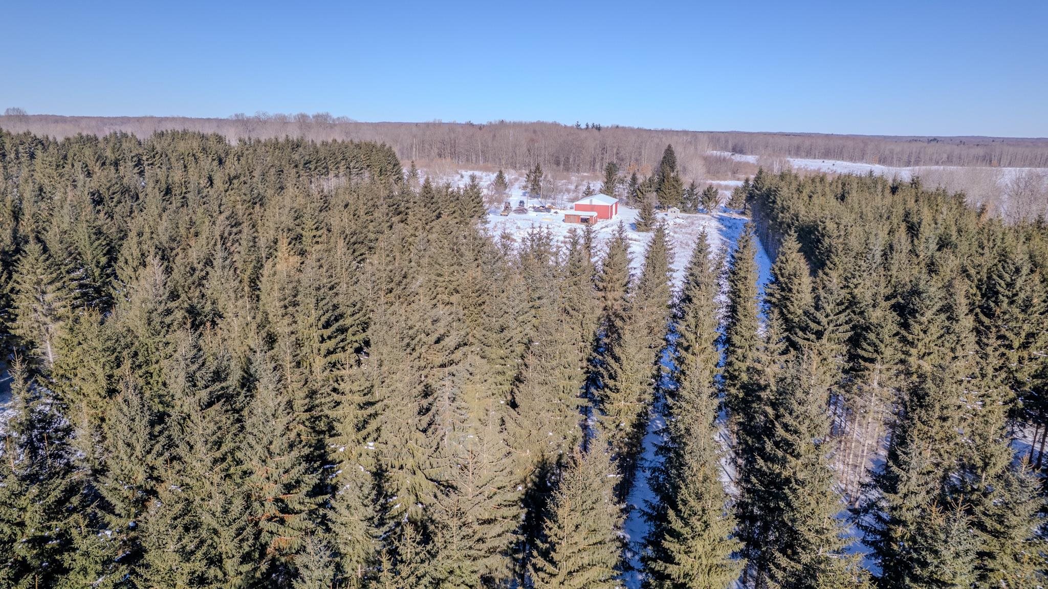 8178 East Stockwell Road Harrison, MI 48625 - Photo 11 of 89