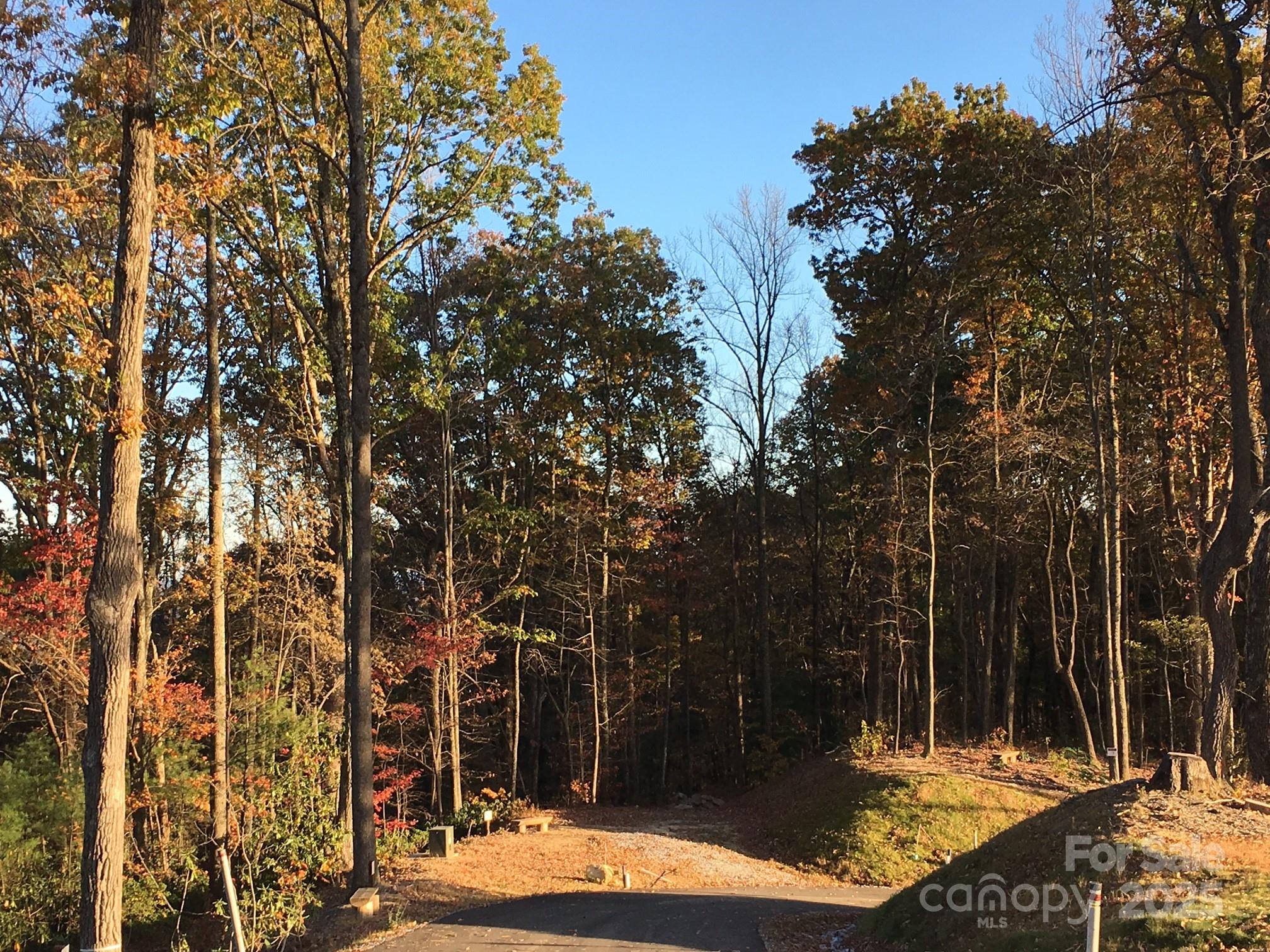 83 Curtain Bluff, Unit R6 Hendersonville, NC 28791 - Photo 4 of 5