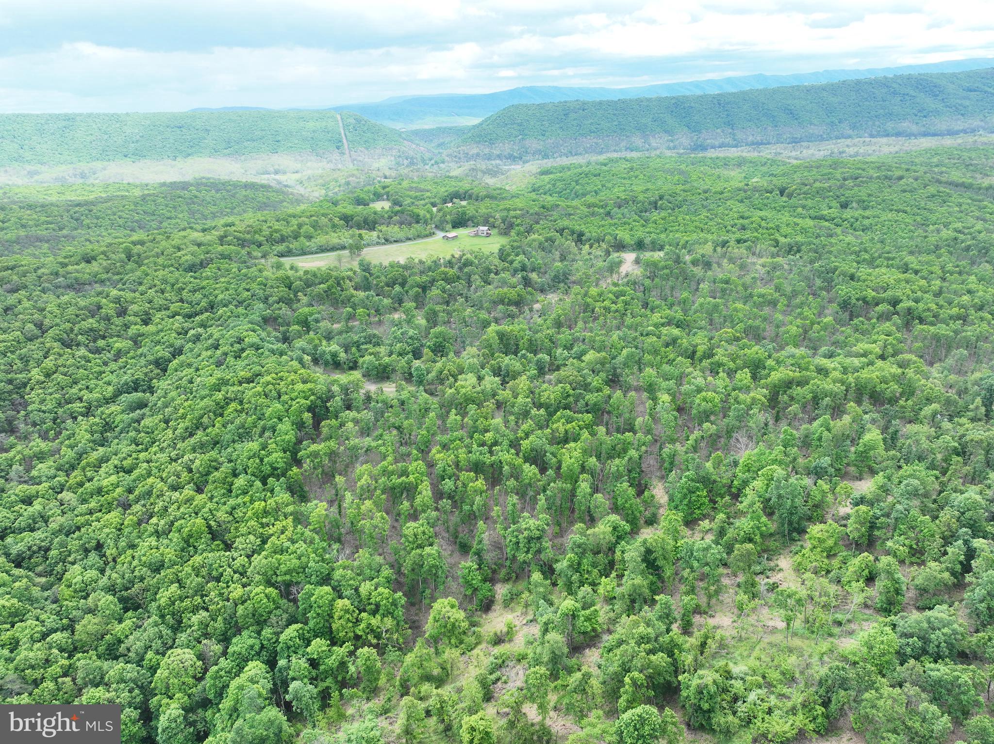 40.15-ac Middle Ridge Road Burlington, WV 26710 - Photo 44 of 47