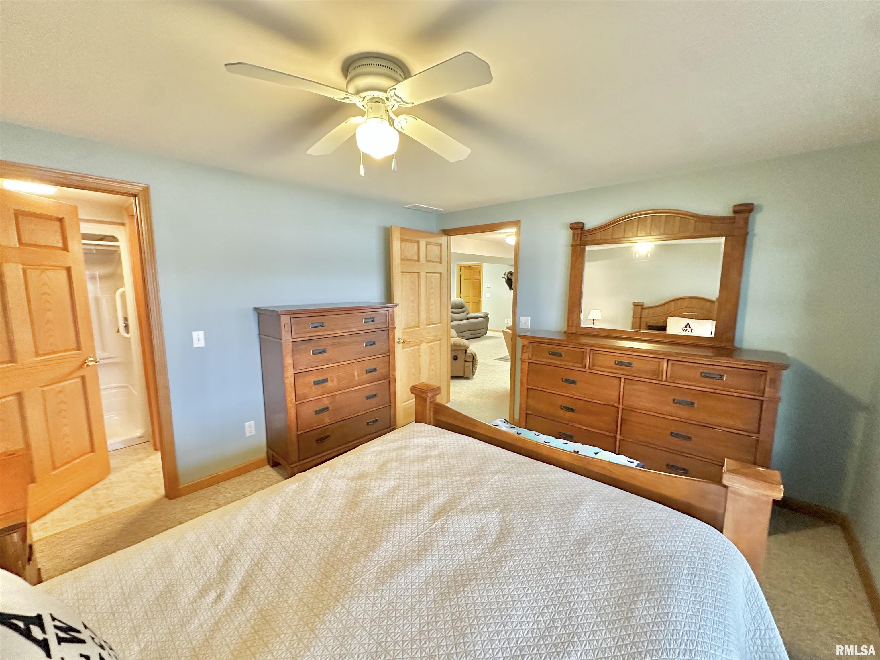 314 Lakeview Drive Avon, IL 61415 - Photo 73 of 80