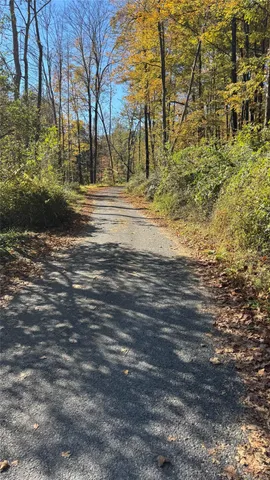 a view of dirt yard with a large tree