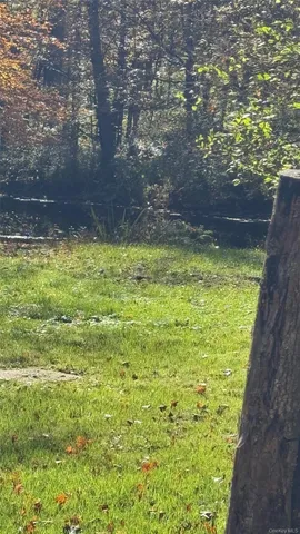 a view of a backyard with plants and a bench