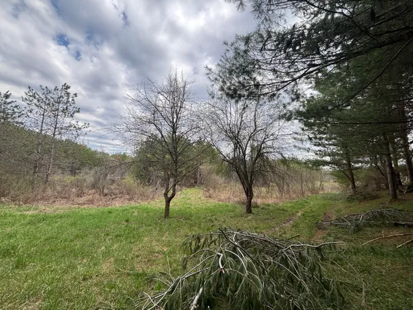 $64,900 | 8.5 A 18 Mile Road, Remus, MI 49340