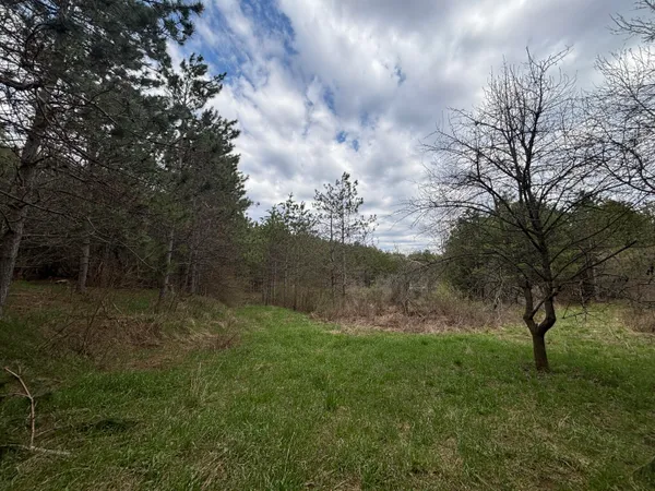 $64,900 | 8.5 A 18 Mile Road, Remus, MI 49340