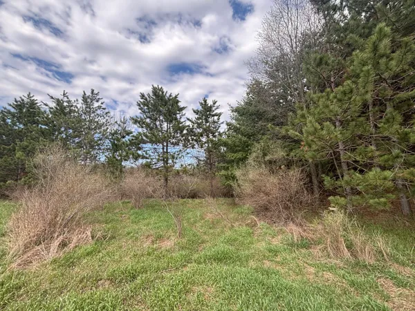 $64,900 | 8.5 A 18 Mile Road, Remus, MI 49340