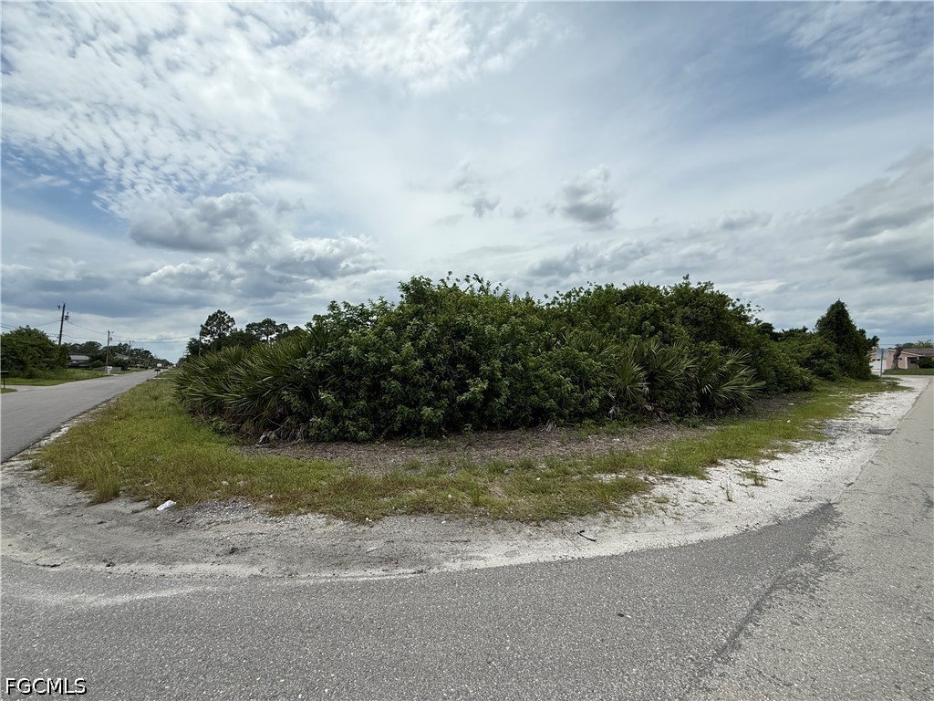 2700 9th Street Southwest Lehigh Acres, FL 33976 - Photo 1 of 2 a view of a lake view with houses in back