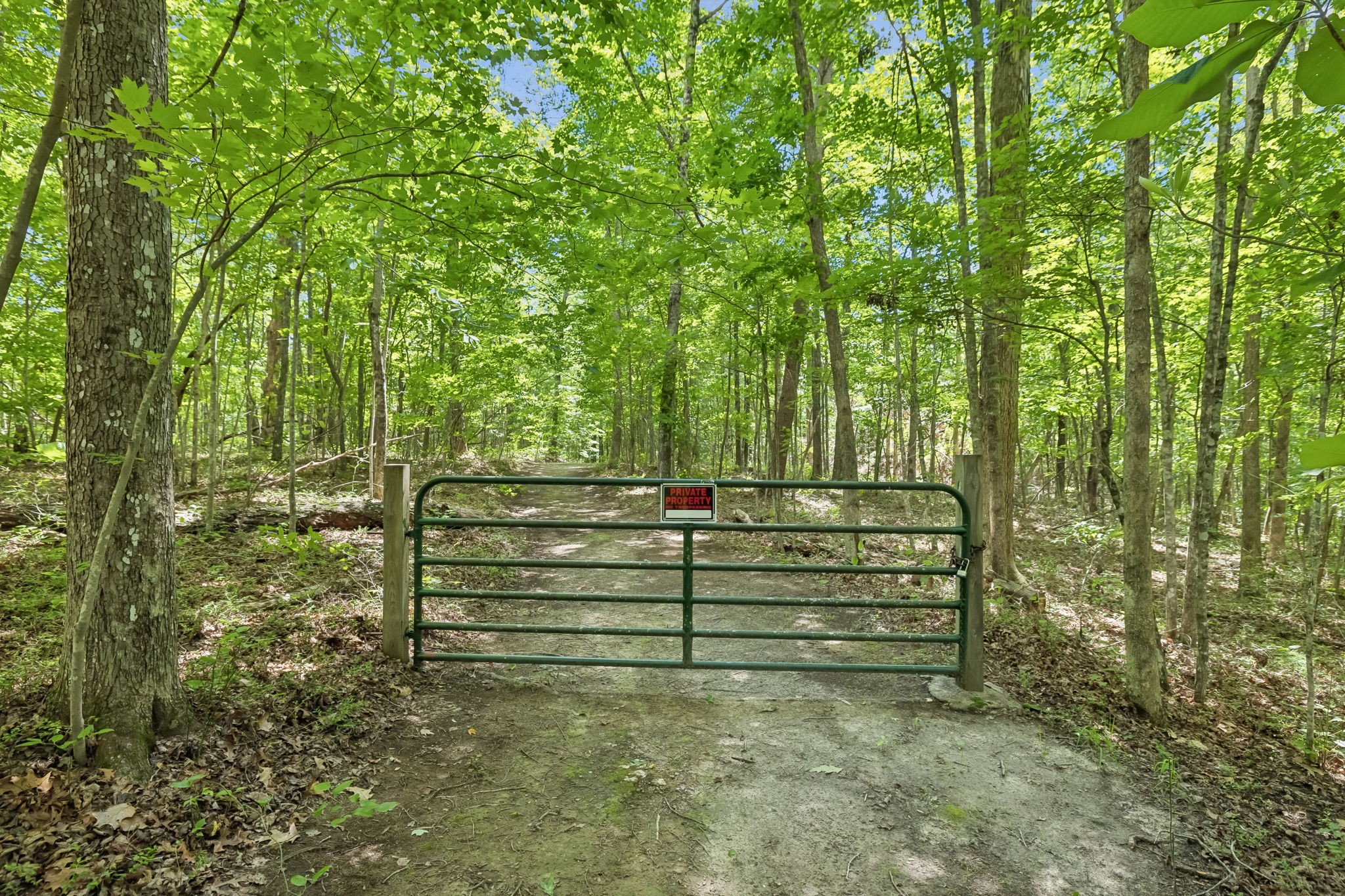 340 Doe Ridge Road Oneida, TN 37841 - Photo 4 of 99