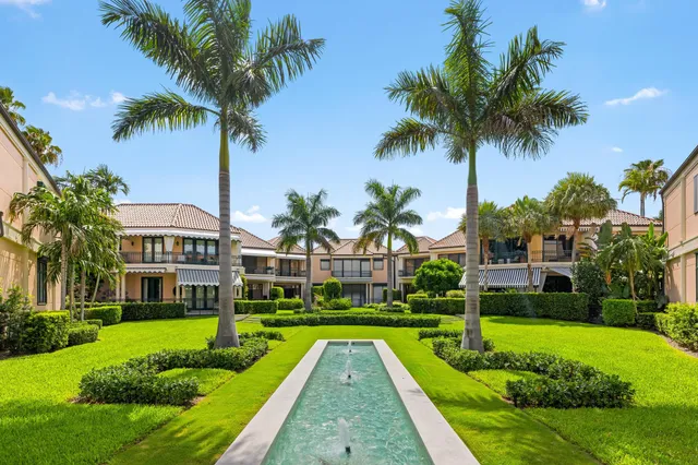 a view of a park with a palm trees