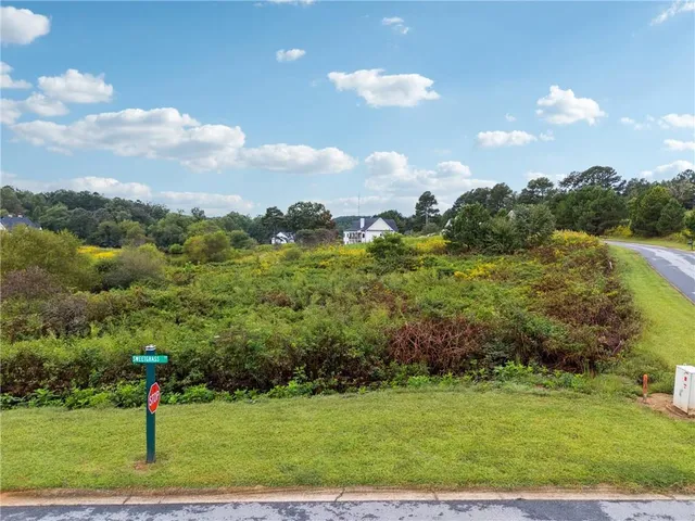 a view of a big yard with potted plants