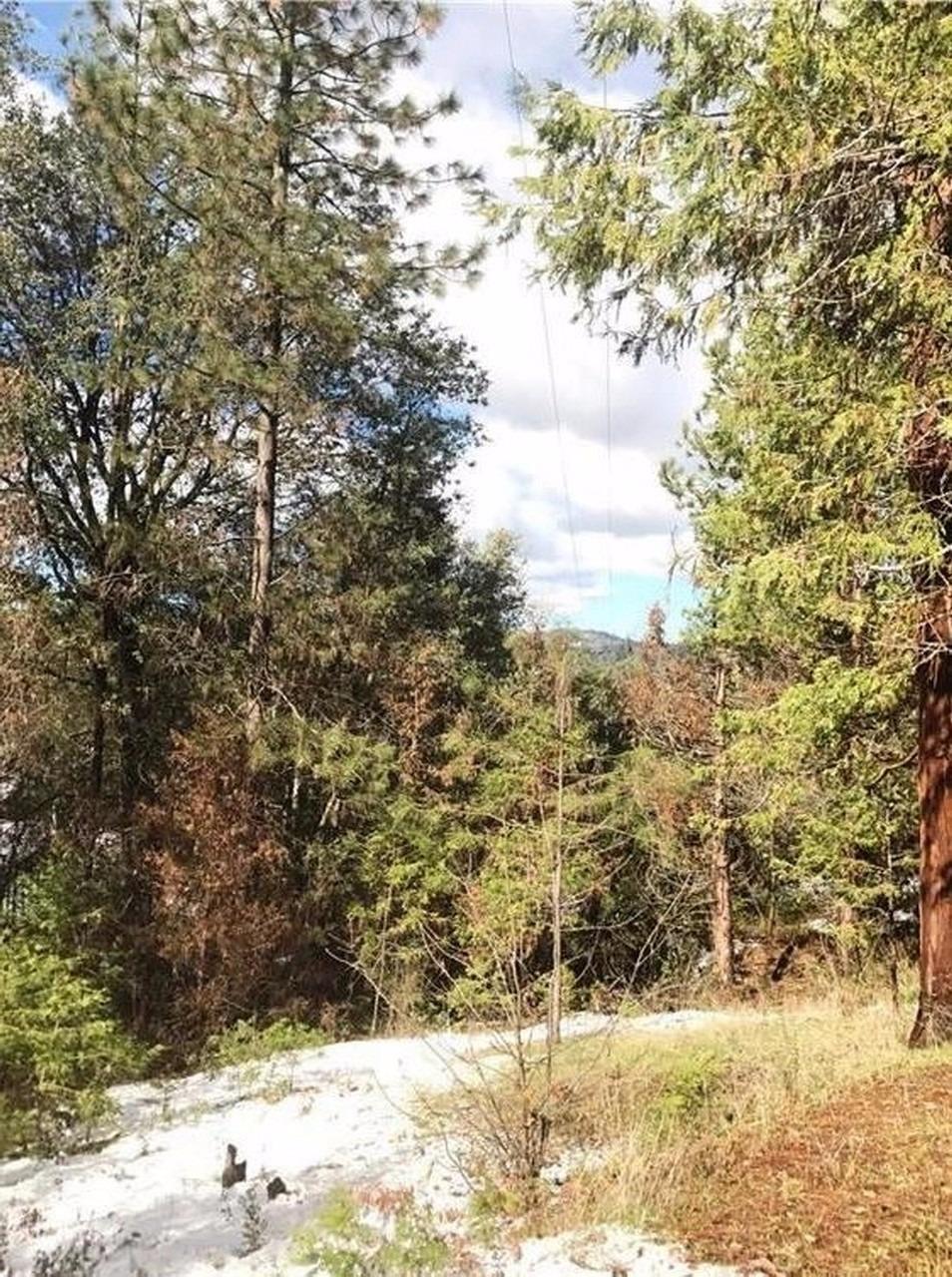 1840 Nutter Ranch Road Mariposa, CA 95338 - Photo 15 of 26 Gallery Image 15