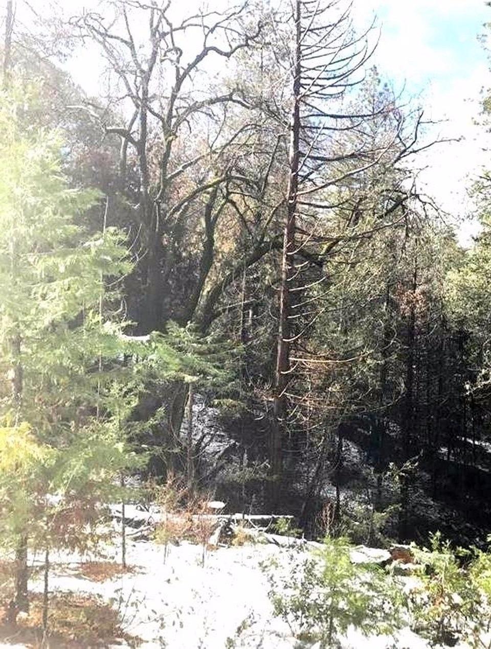 1840 Nutter Ranch Road Mariposa, CA 95338 - Photo 16 of 26 Gallery Image 16