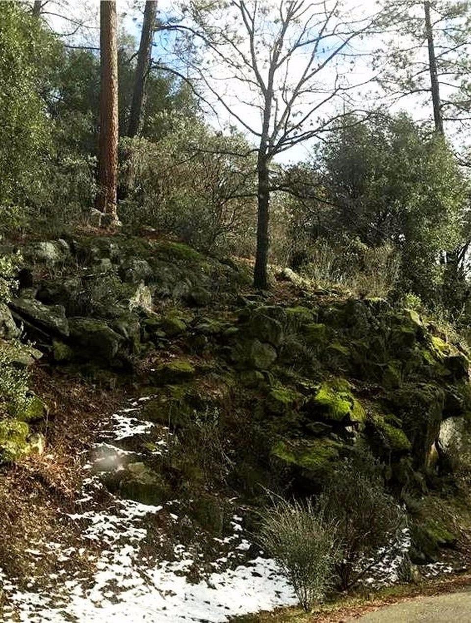 1840 Nutter Ranch Road Mariposa, CA 95338 - Photo 24 of 26 Gallery Image 24