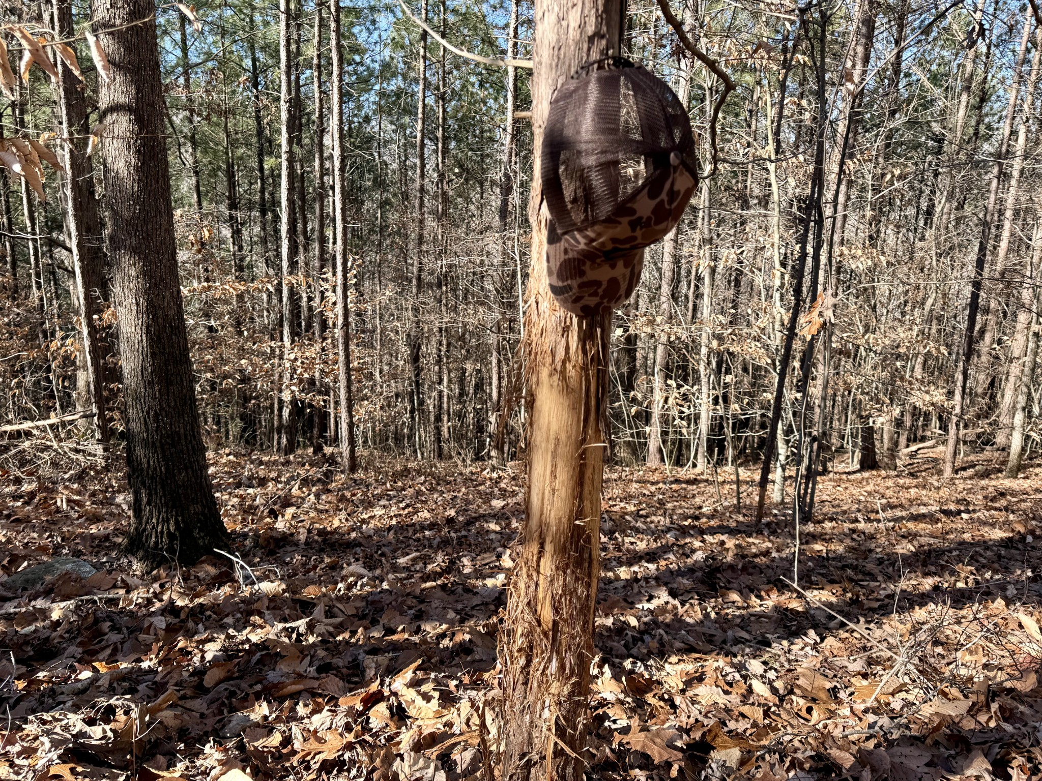 0 Rocky Point Road Stewart, TN 37175 - Photo 13 of 63 a picture of street