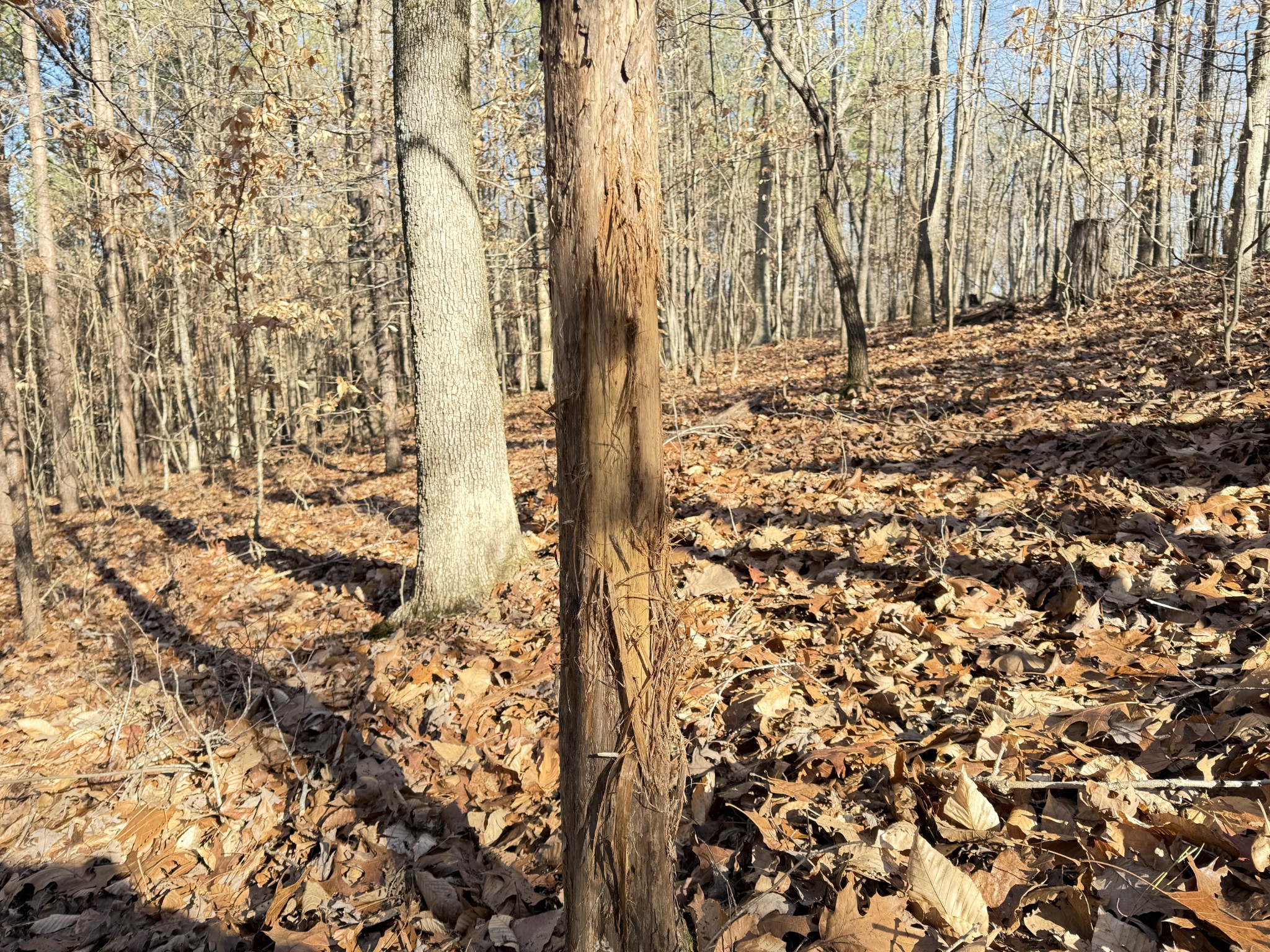 0 Rocky Point Road Stewart, TN 37175 - Photo 14 of 63