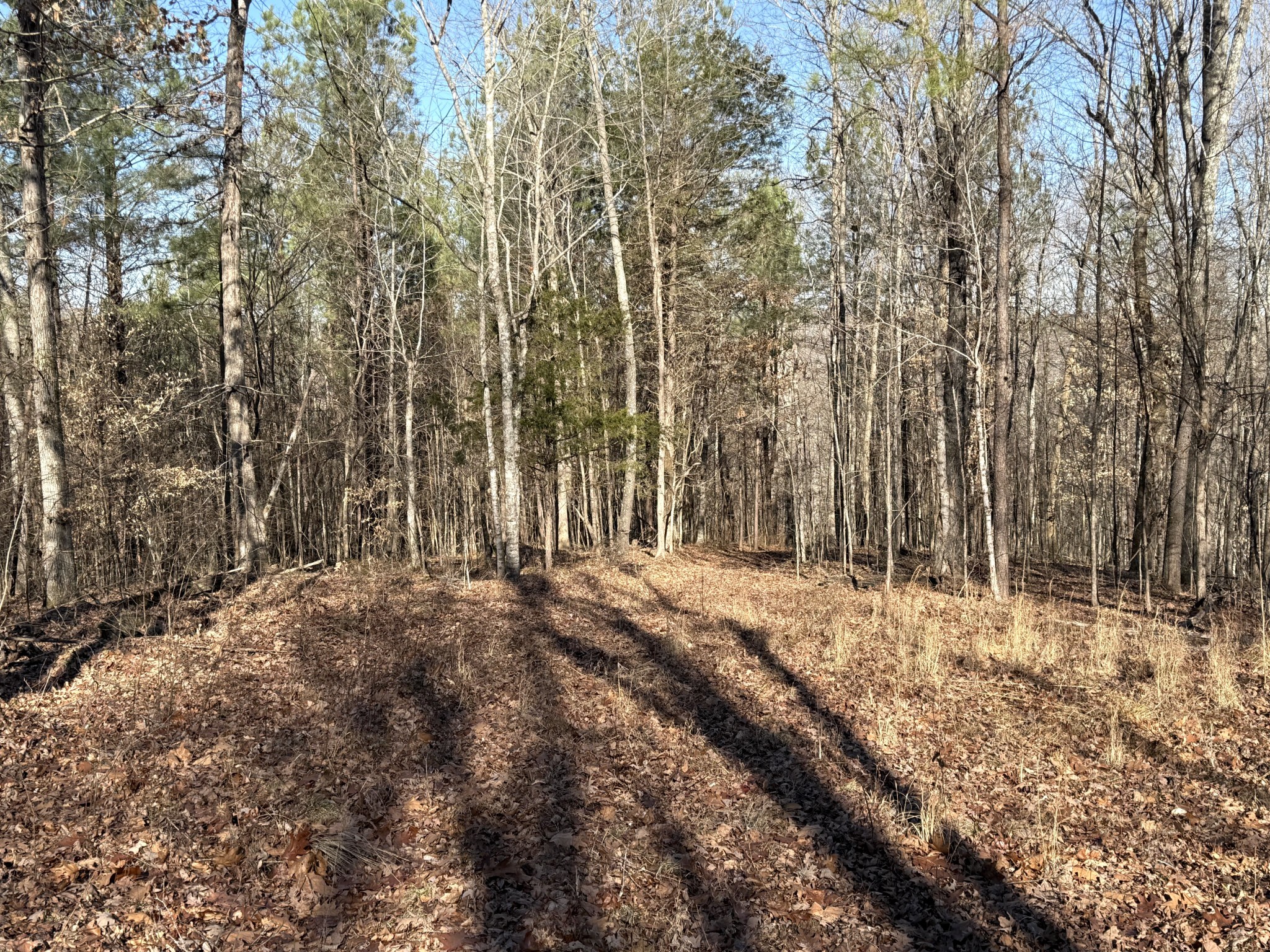 0 Rocky Point Road Stewart, TN 37175 - Photo 16 of 63