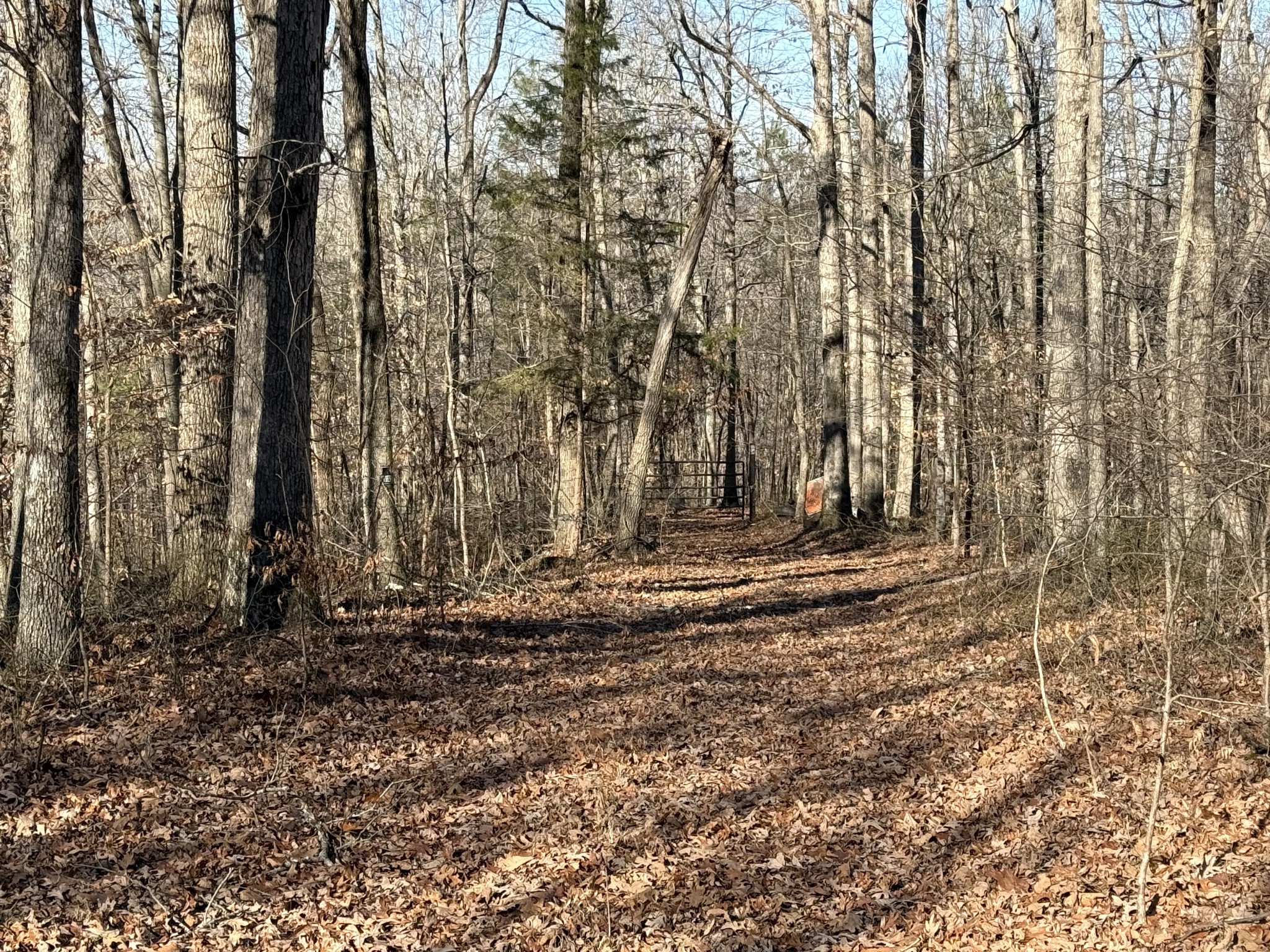 0 Rocky Point Road Stewart, TN 37175 - Photo 2 of 63 a view of a backyard of the house