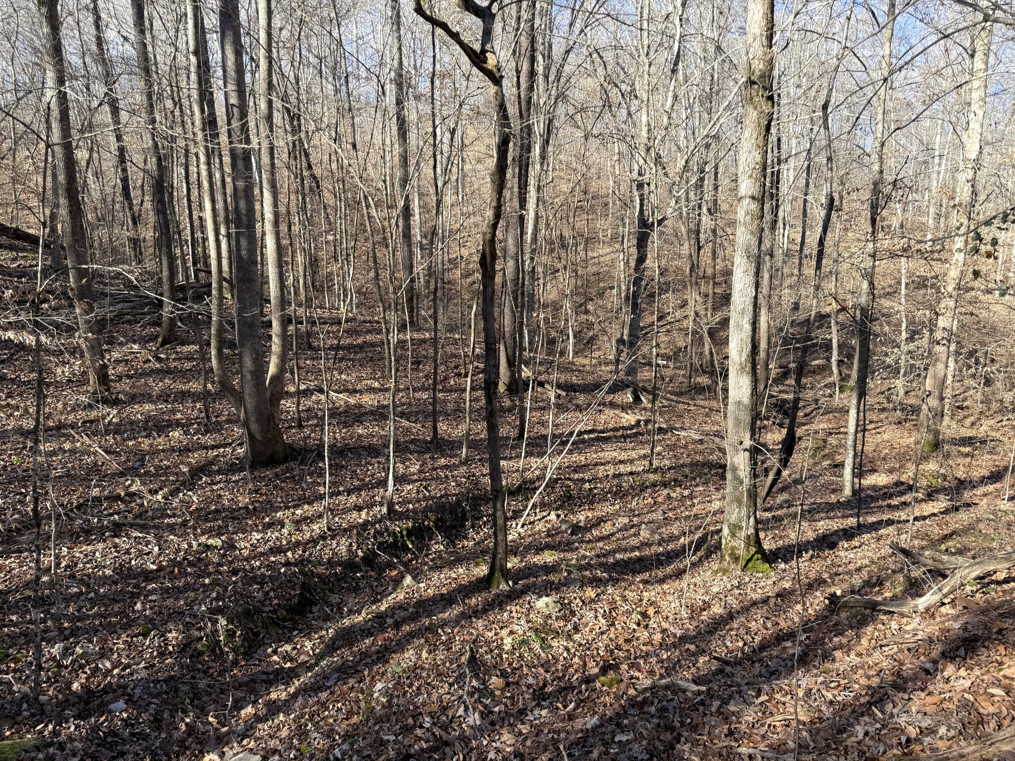 0 Rocky Point Road Stewart, TN 37175 - Photo 21 of 63