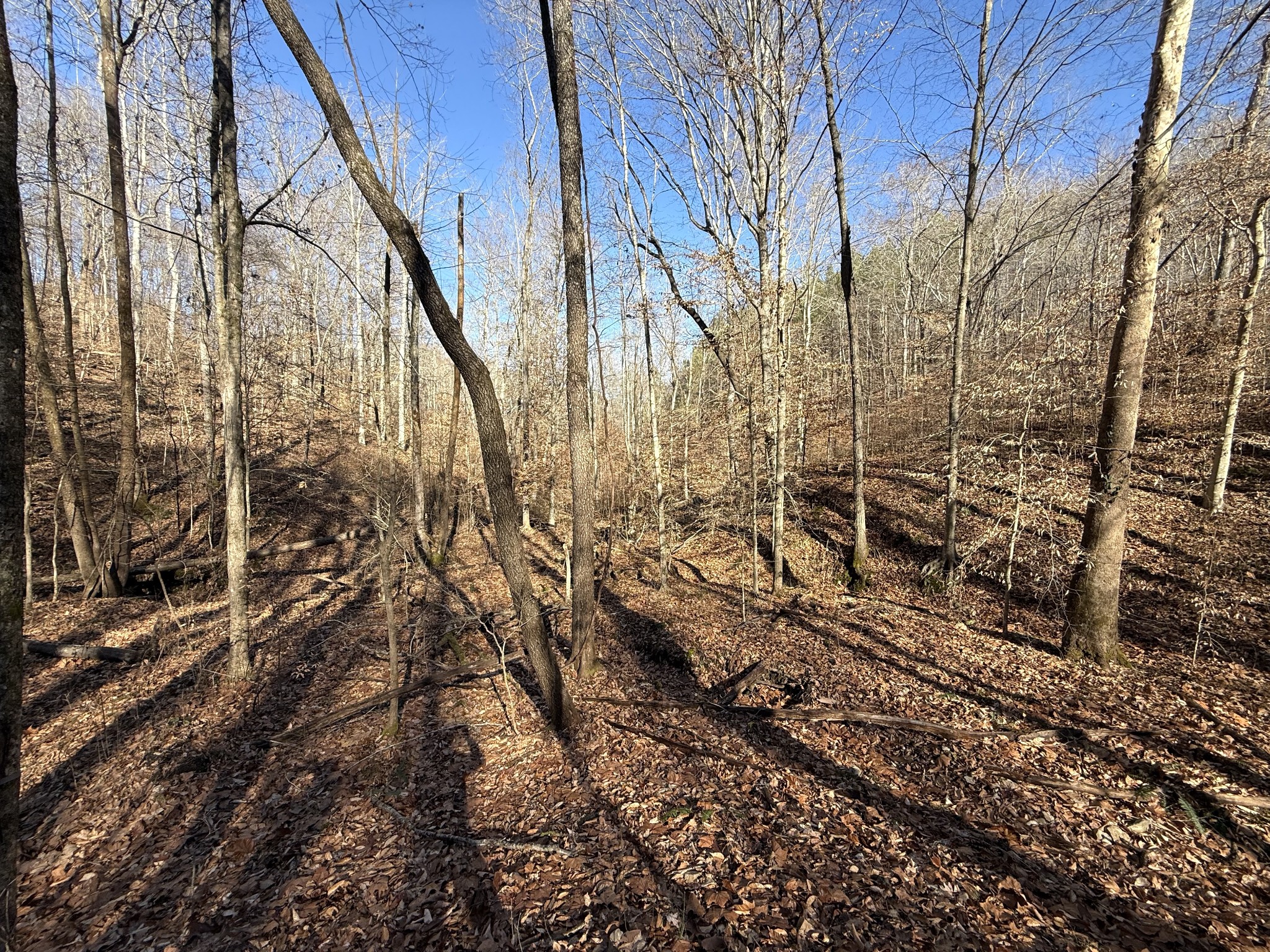 0 Rocky Point Road Stewart, TN 37175 - Photo 24 of 63