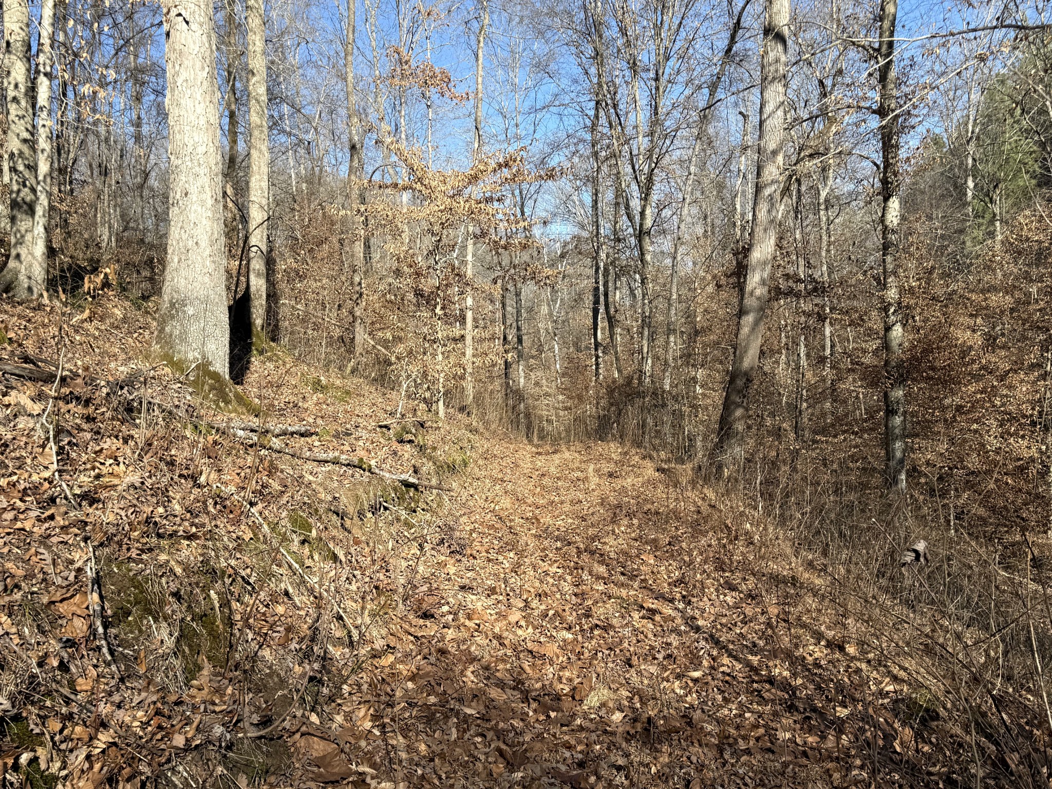 0 Rocky Point Road Stewart, TN 37175 - Photo 26 of 63