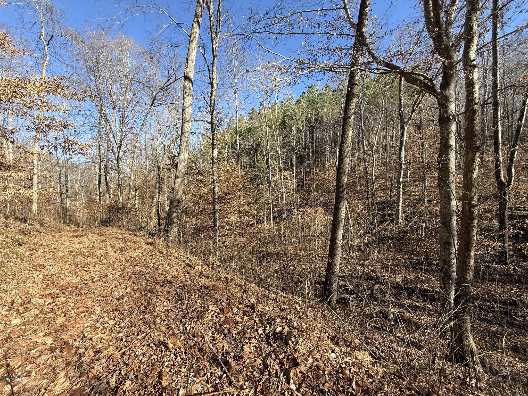 0 Rocky Point Road Stewart, TN 37175 - Photo 27 of 63