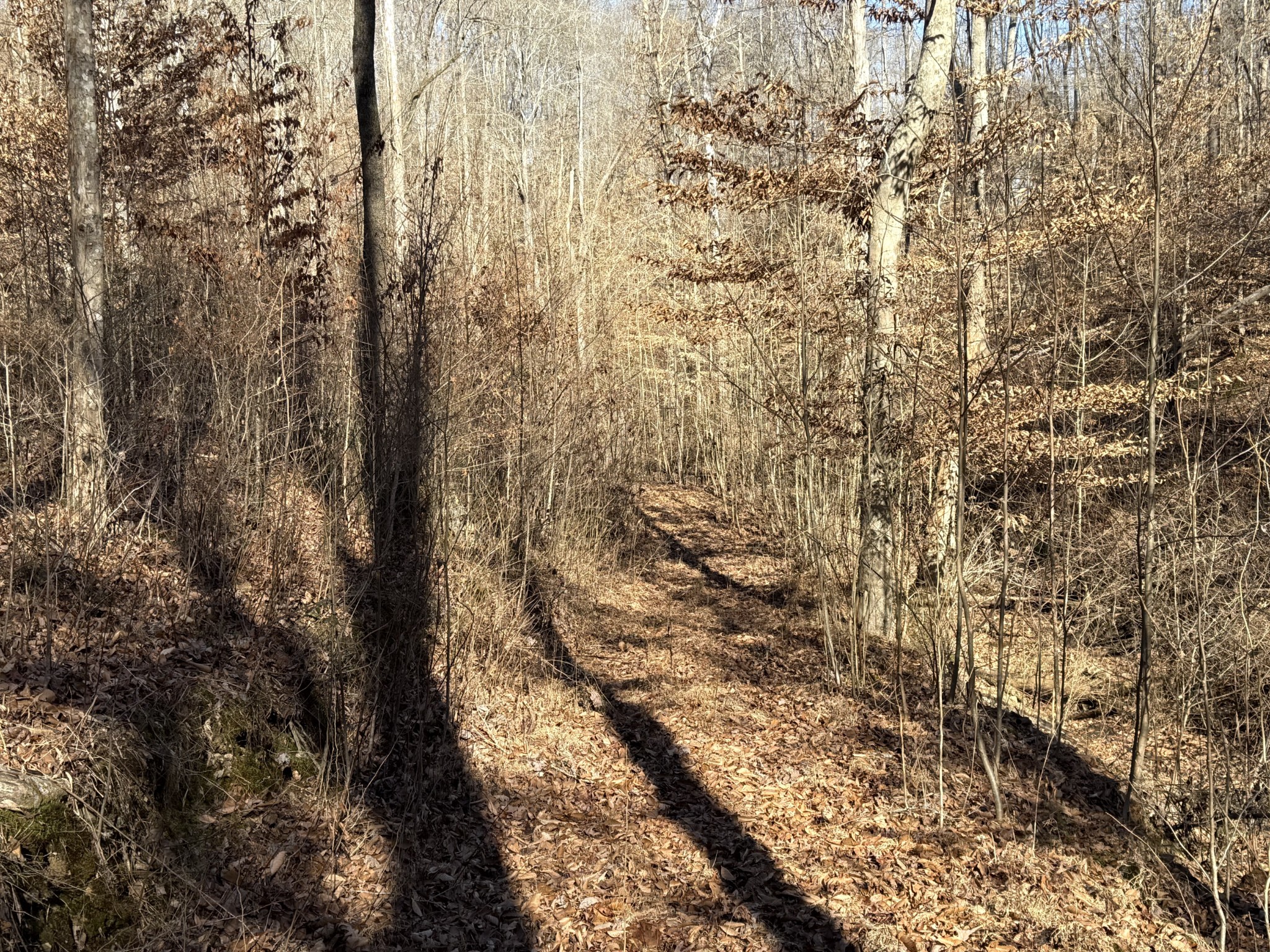 0 Rocky Point Road Stewart, TN 37175 - Photo 28 of 63