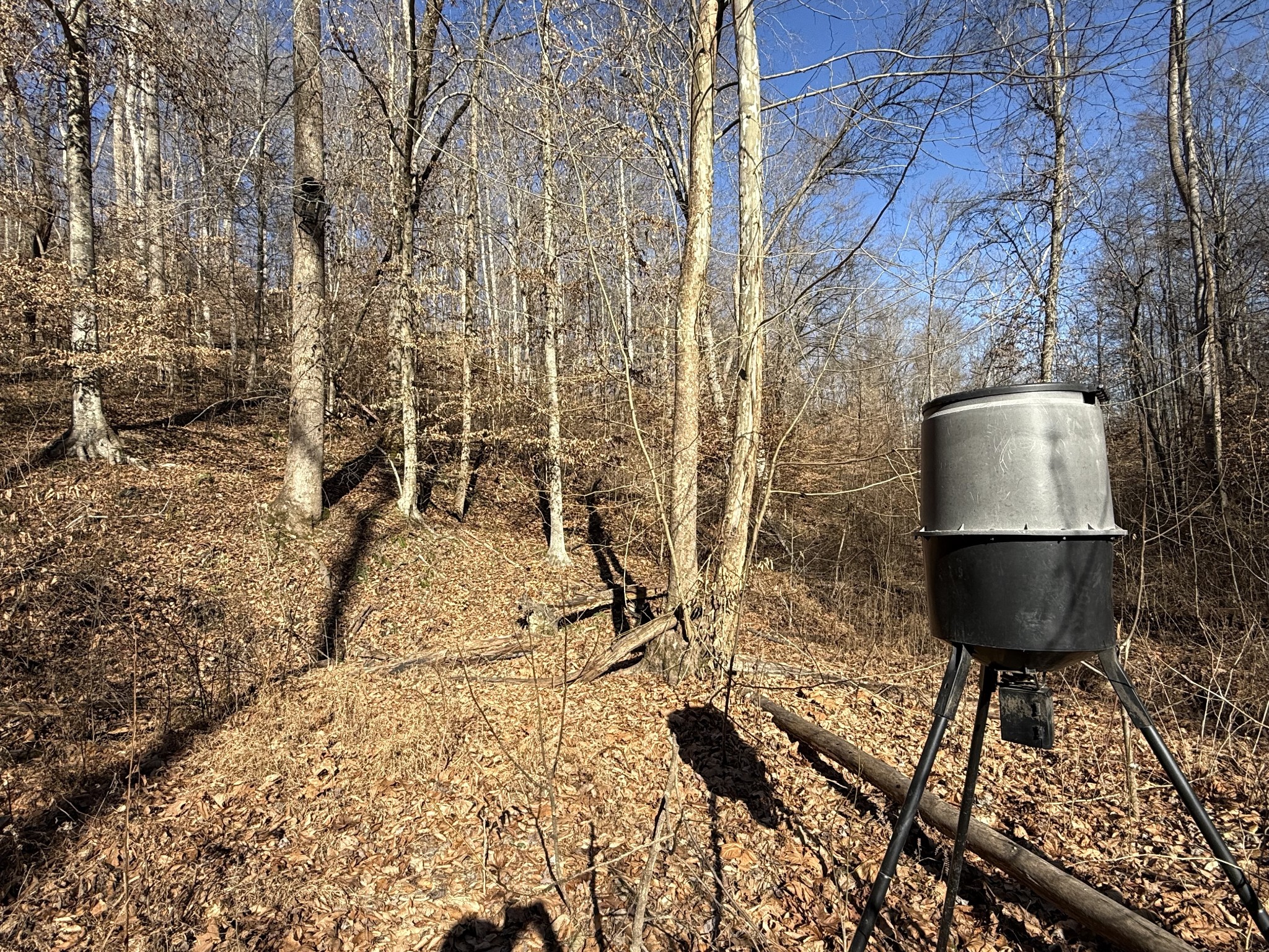 0 Rocky Point Road Stewart, TN 37175 - Photo 30 of 63