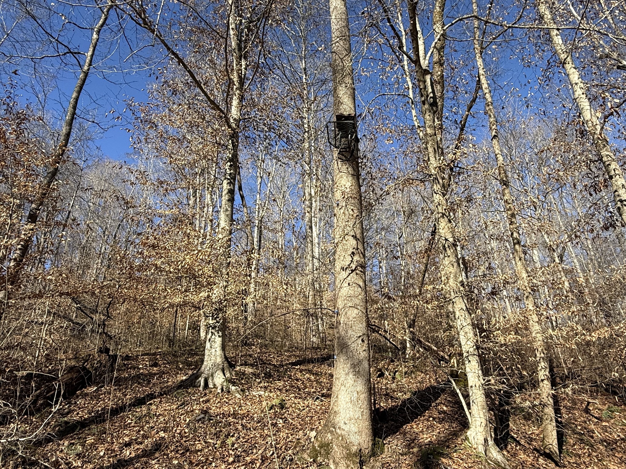 0 Rocky Point Road Stewart, TN 37175 - Photo 31 of 63