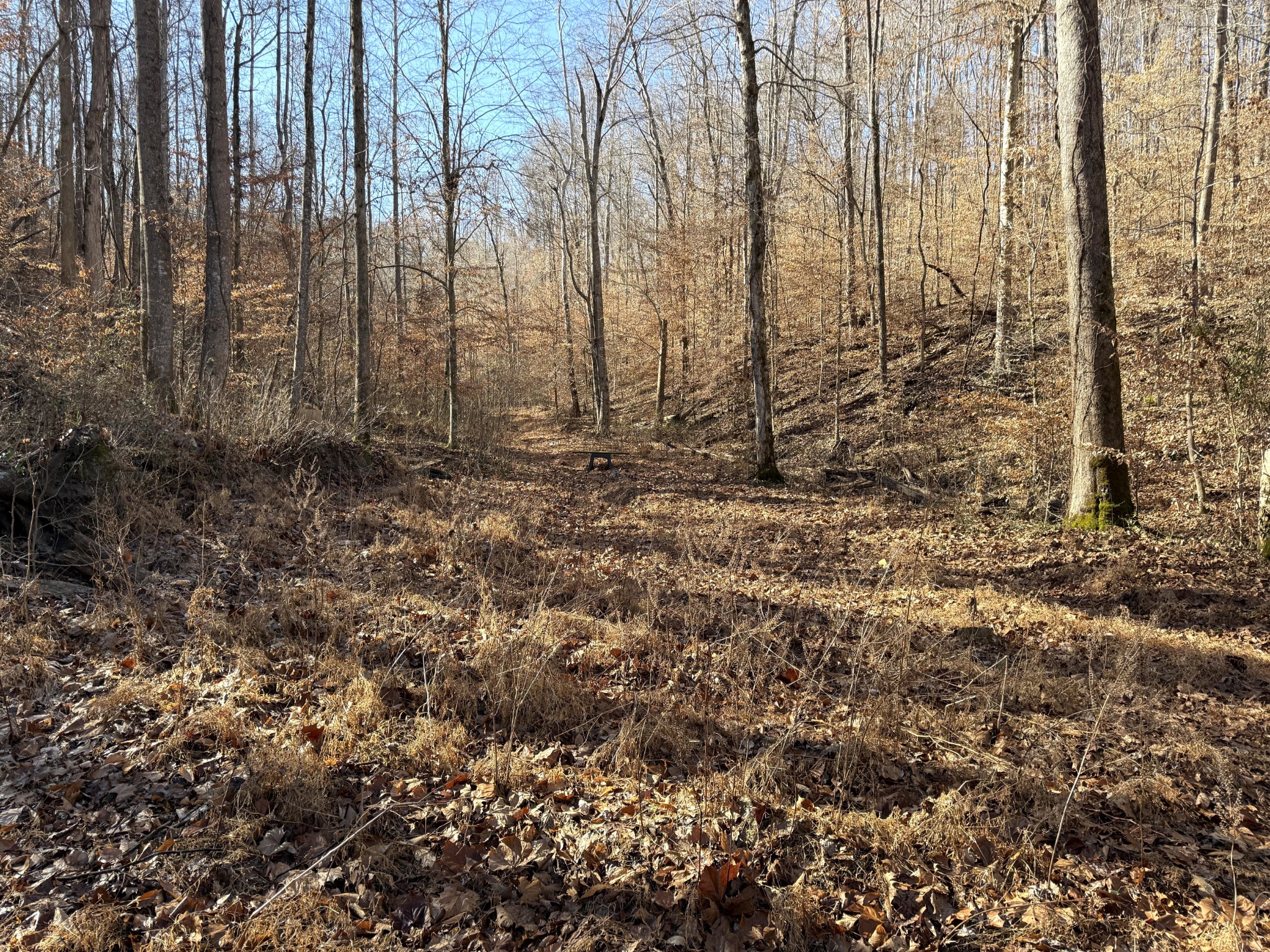 0 Rocky Point Road Stewart, TN 37175 - Photo 35 of 63