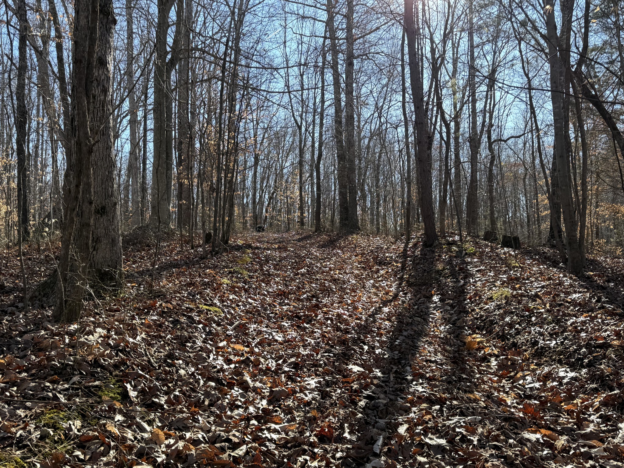 0 Rocky Point Road Stewart, TN 37175 - Photo 37 of 63 a big yard with lots of green space
