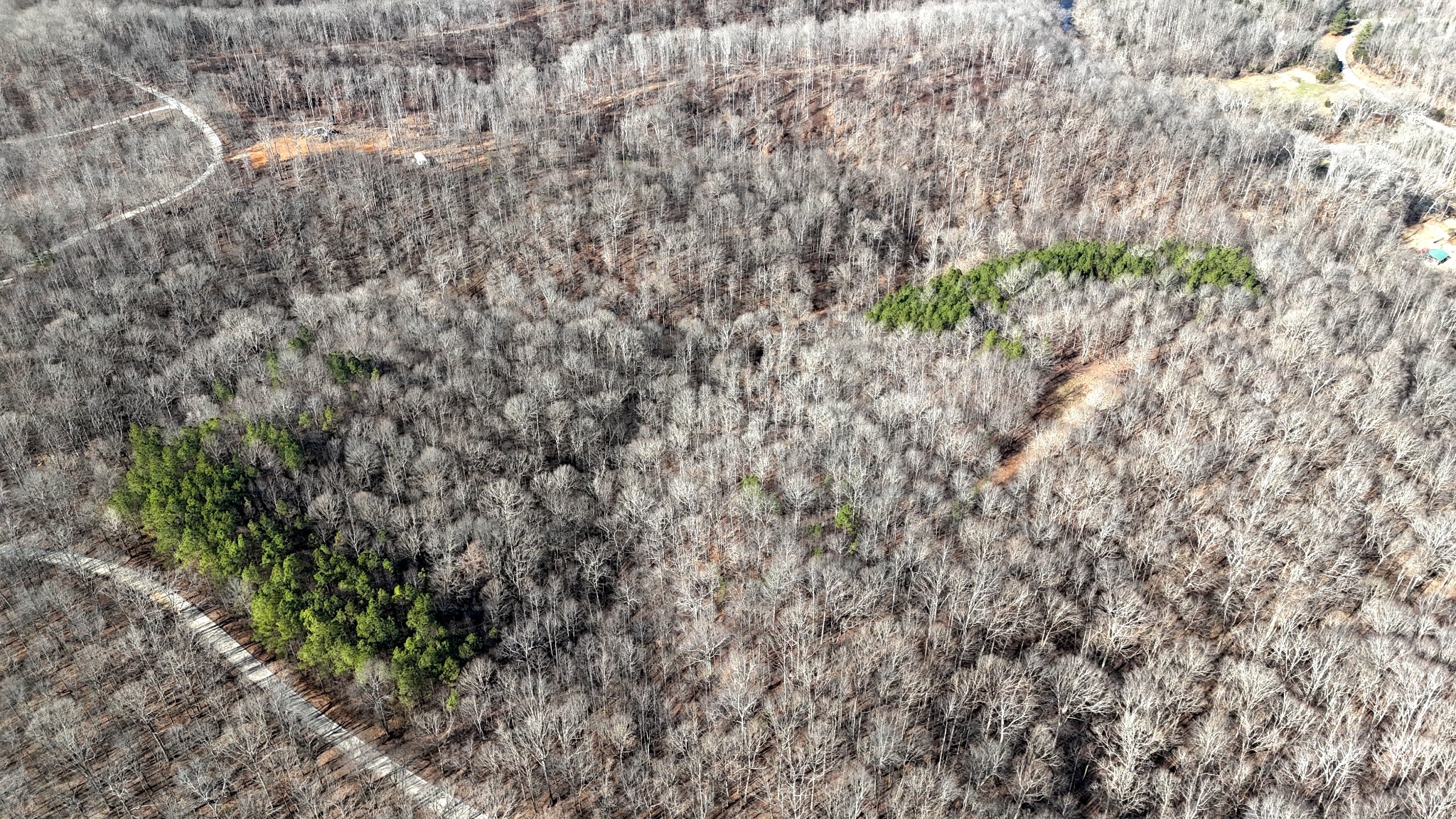 0 Rocky Point Road Stewart, TN 37175 - Photo 38 of 63