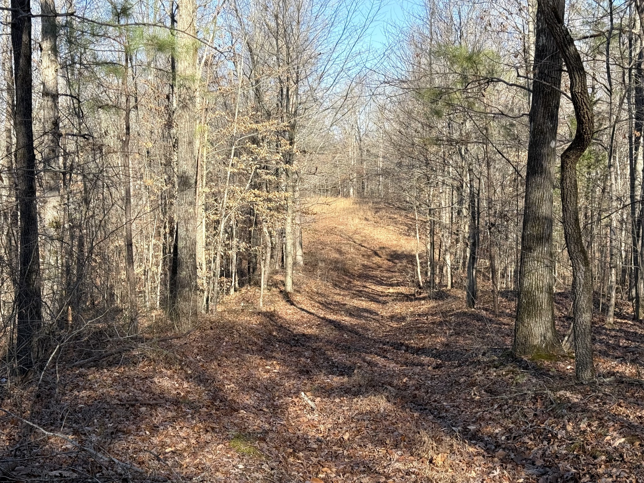 0 Rocky Point Road Stewart, TN 37175 - Photo 4 of 63