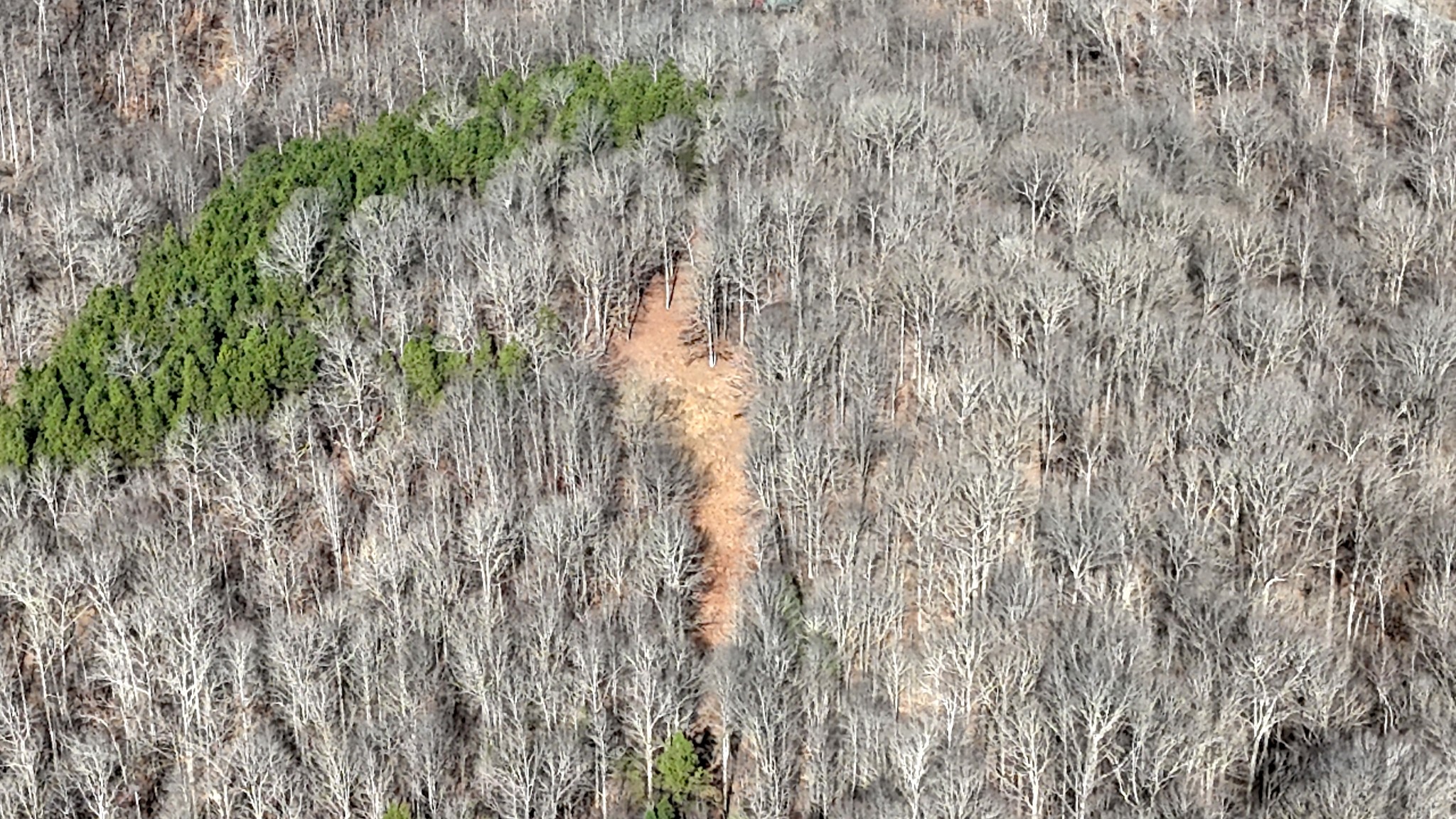 0 Rocky Point Road Stewart, TN 37175 - Photo 41 of 63